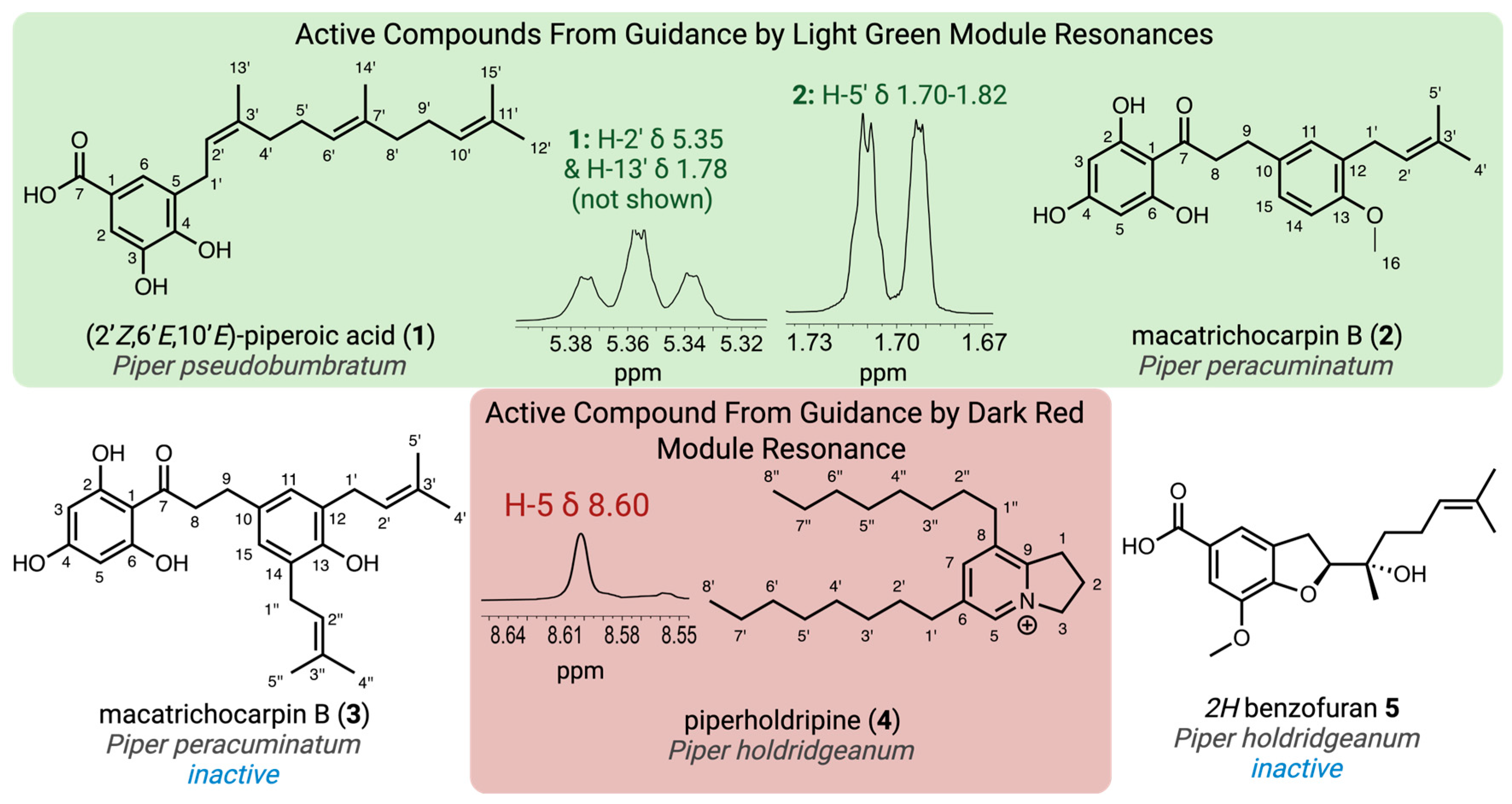 Molecules 30 02020 g002