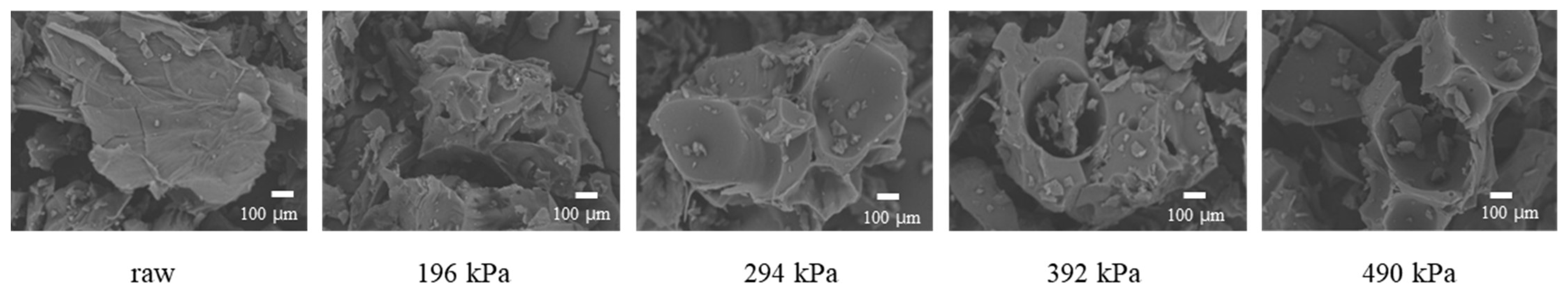 Molecules 30 02022 g002