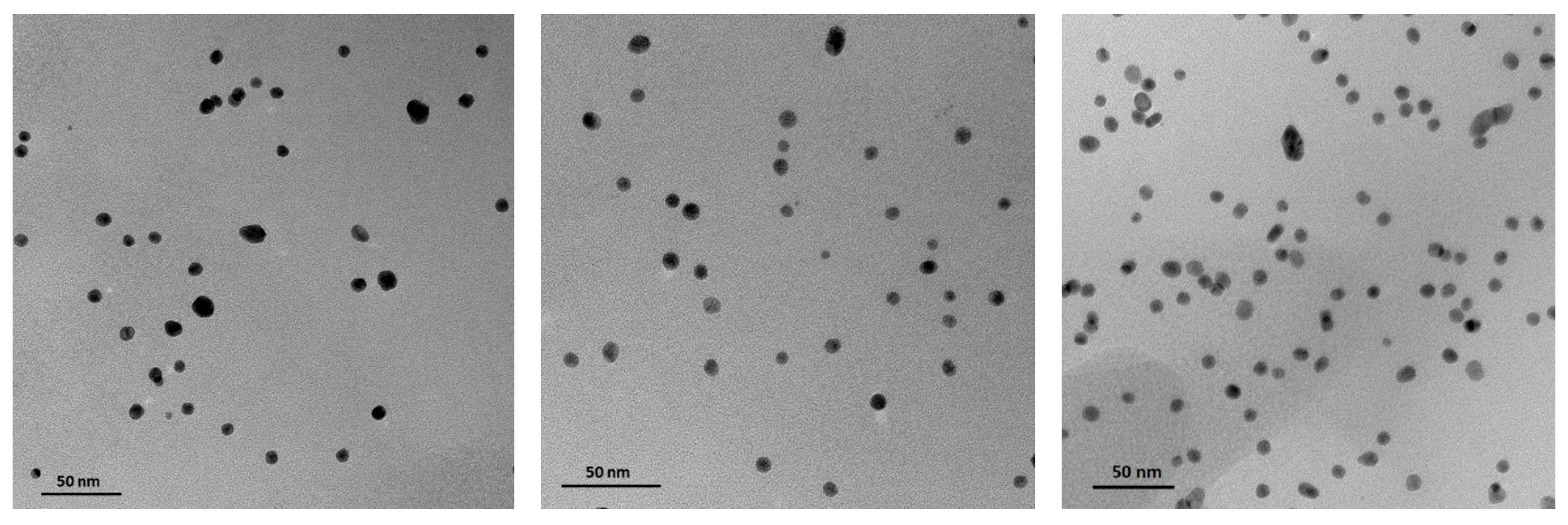 Molecules 30 02024 g005
