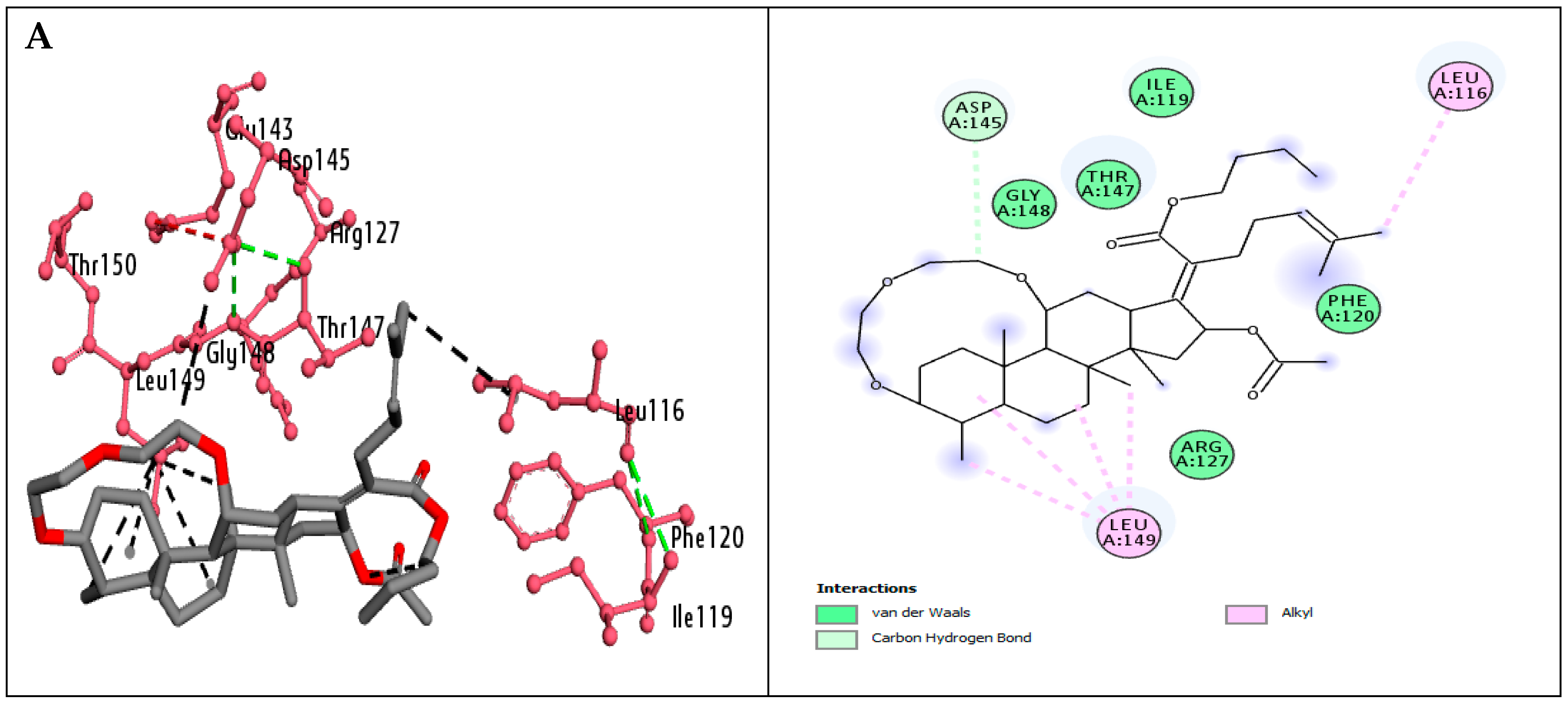 Molecules 30 02033 g004a Molecules 30 02033 g004a