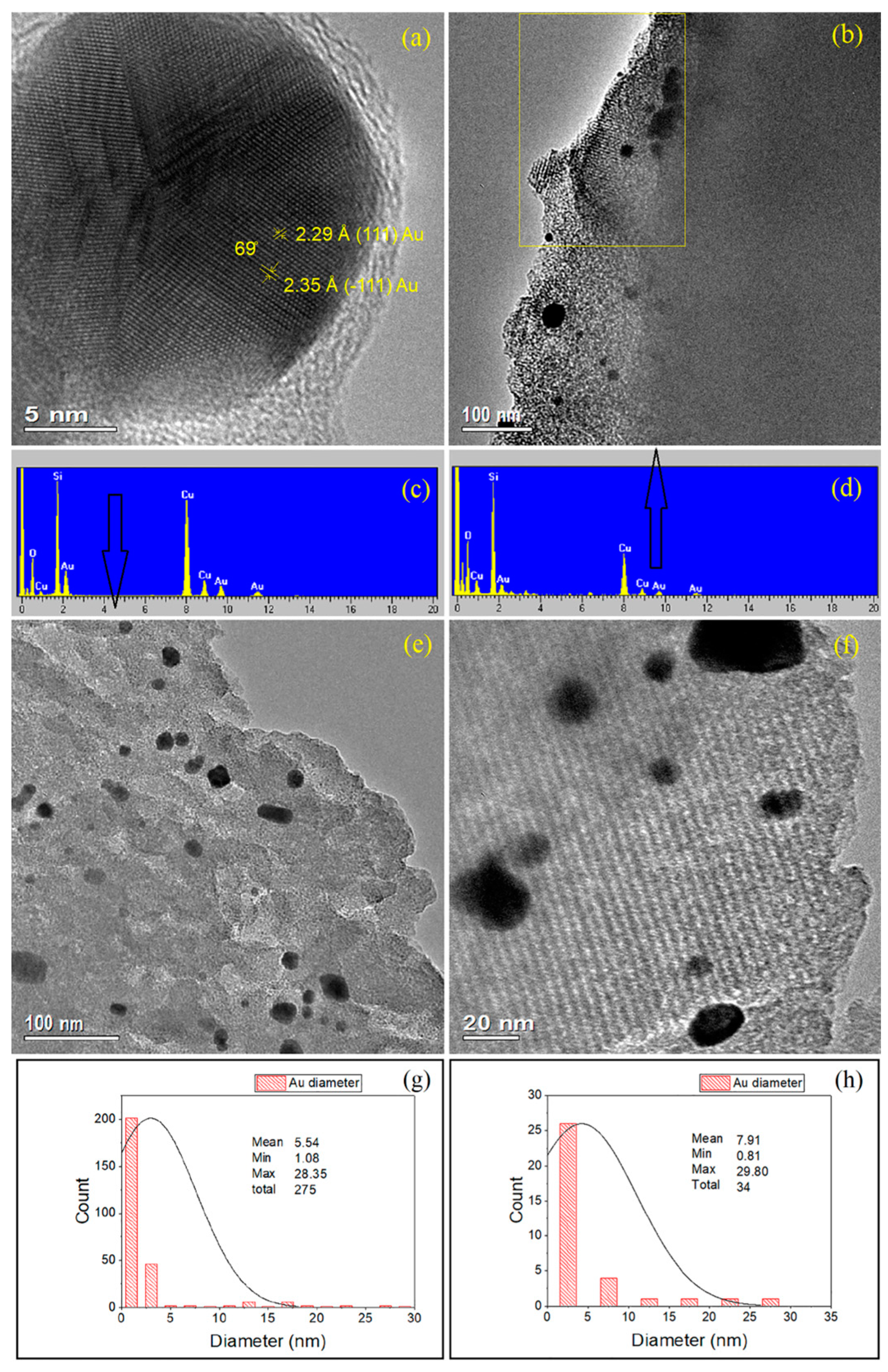 Molecules 30 02035 g004