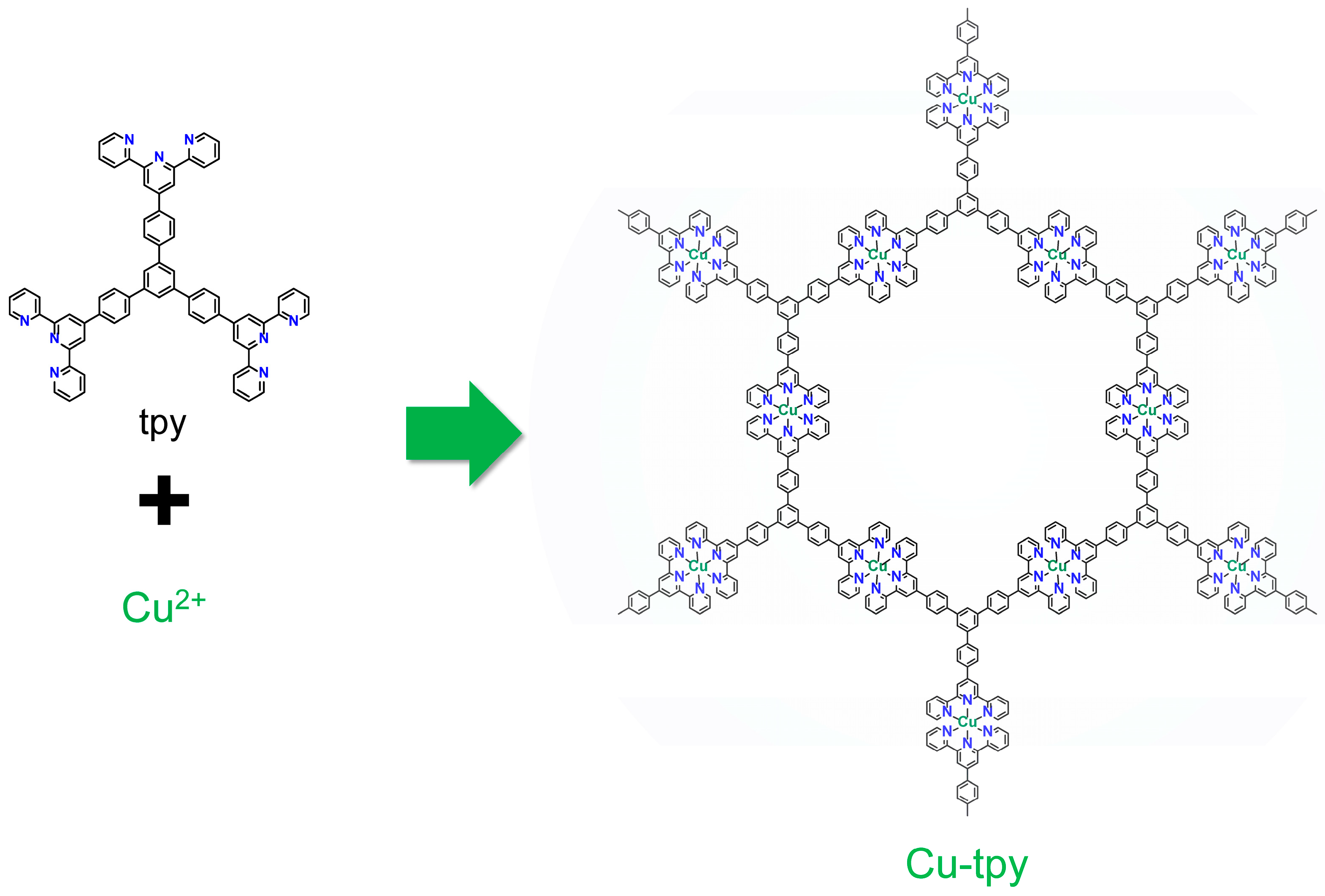 Molecules 30 02044 g001