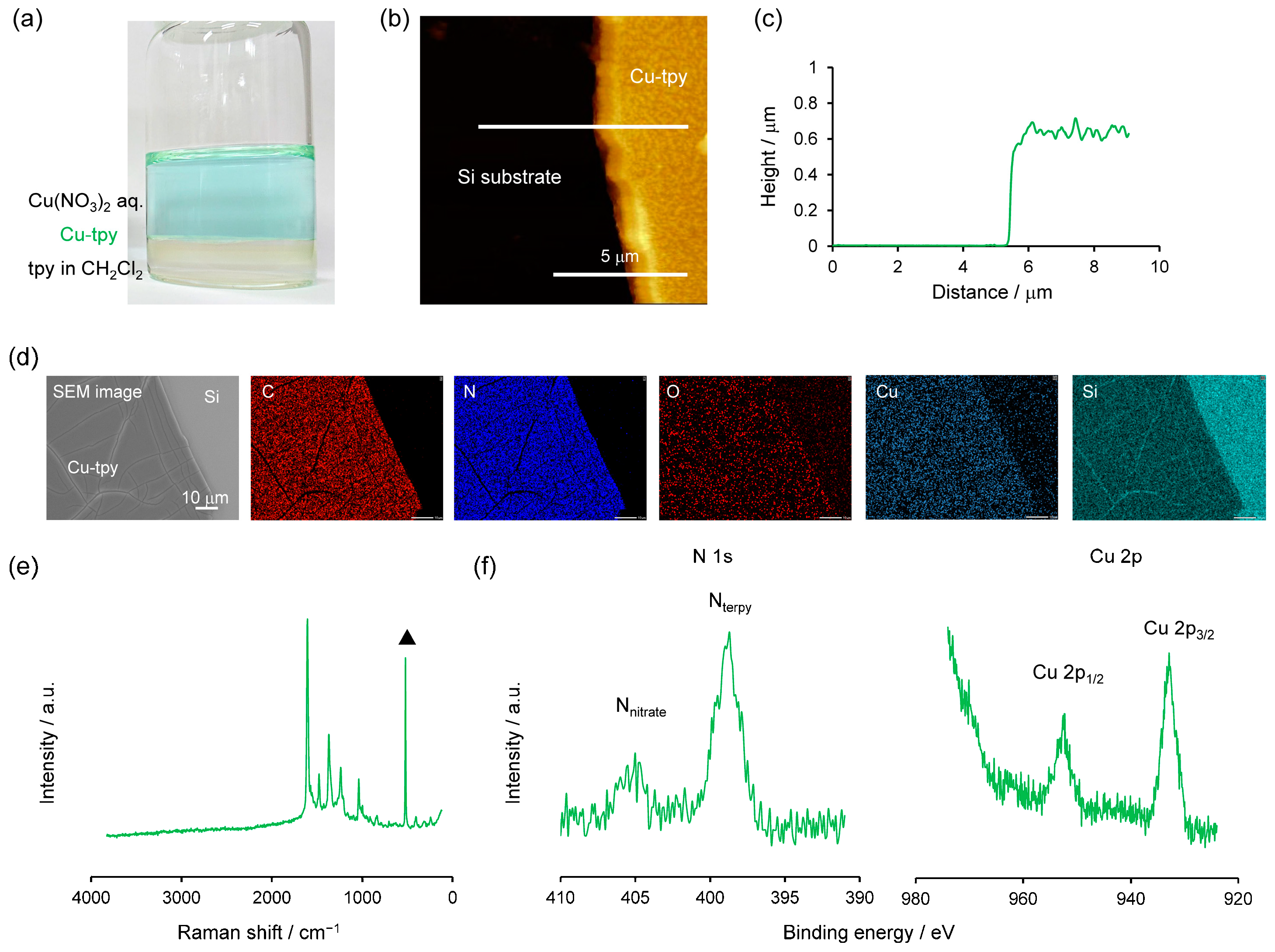Molecules 30 02044 g002