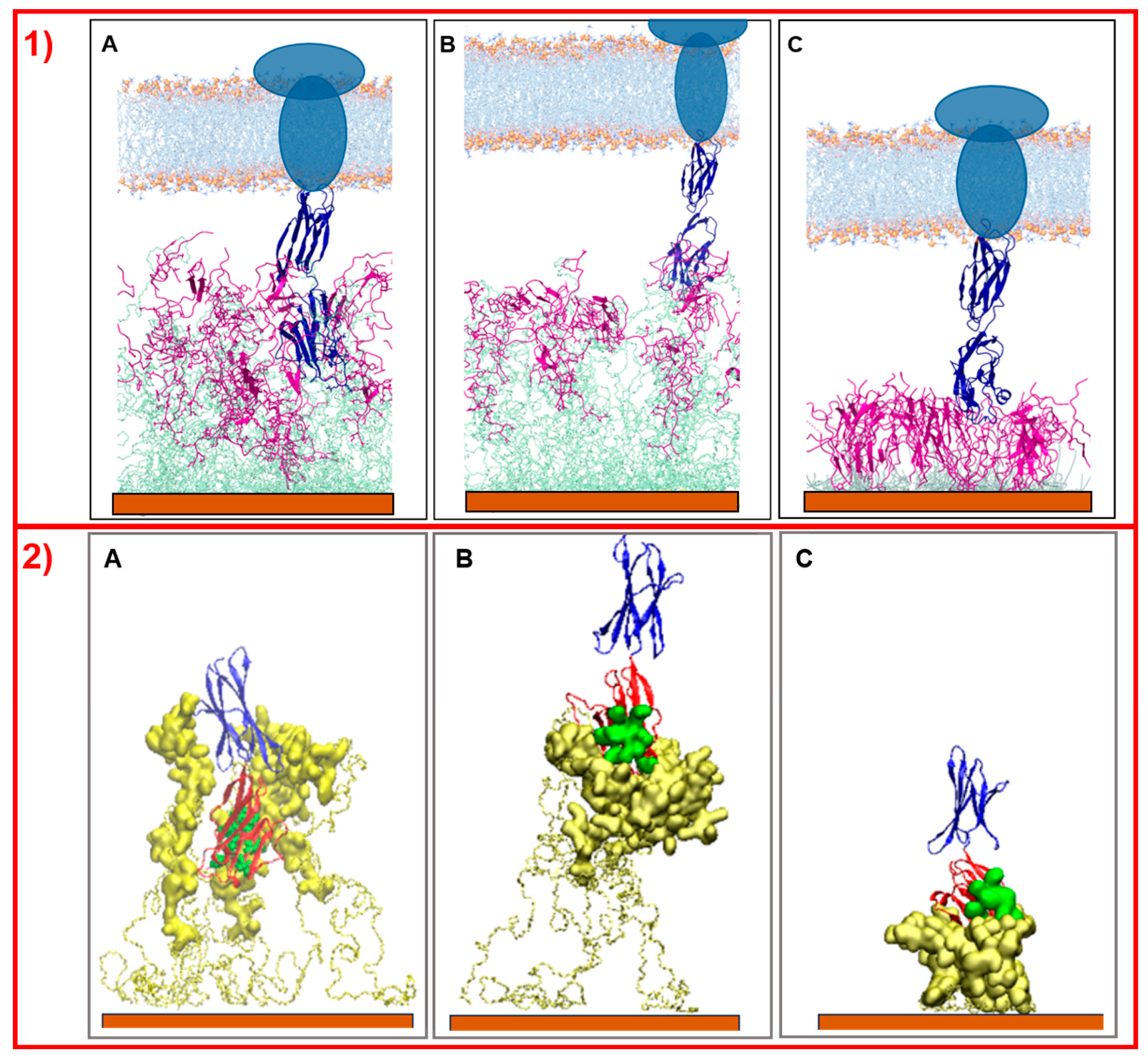 Molecules 30 02045 g006