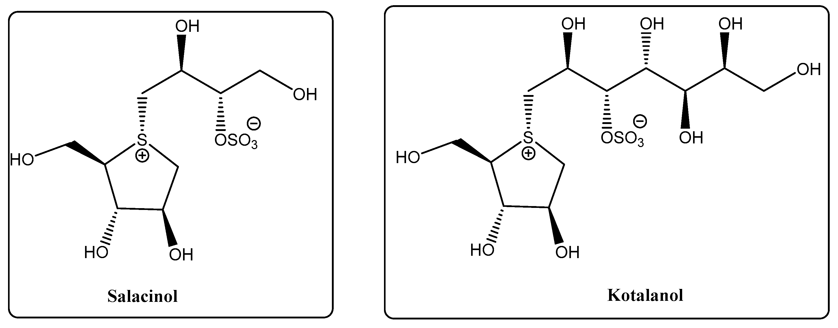 Molecules 30 02053 g002 Molecules 30 02053 g002