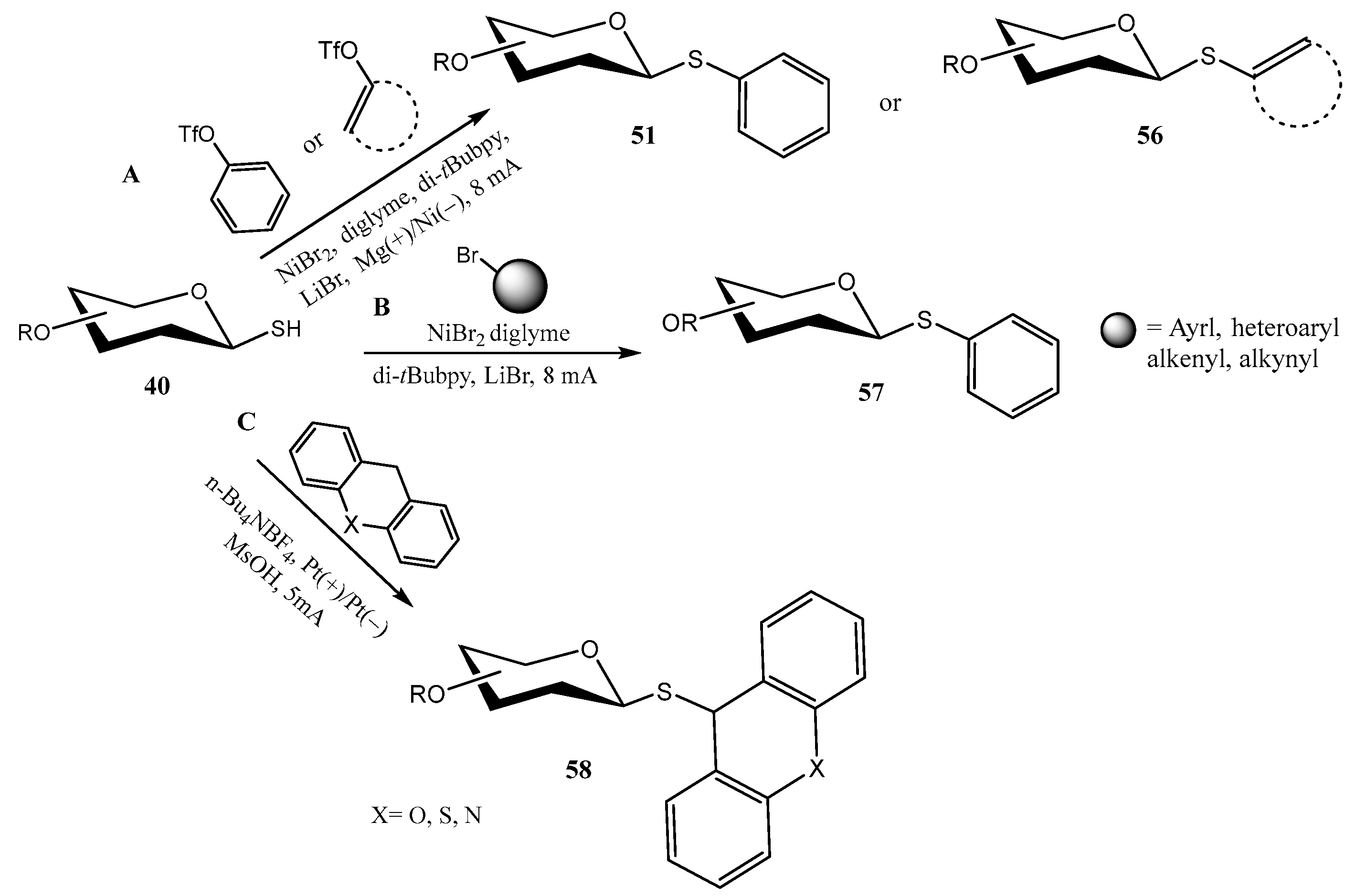 Molecules 30 02053 sch014 Molecules 30 02053 sch014