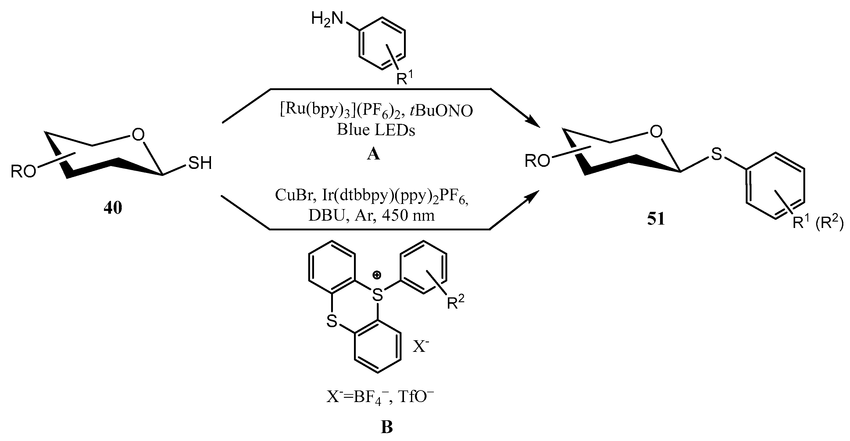 Molecules 30 02053 sch015 Molecules 30 02053 sch015