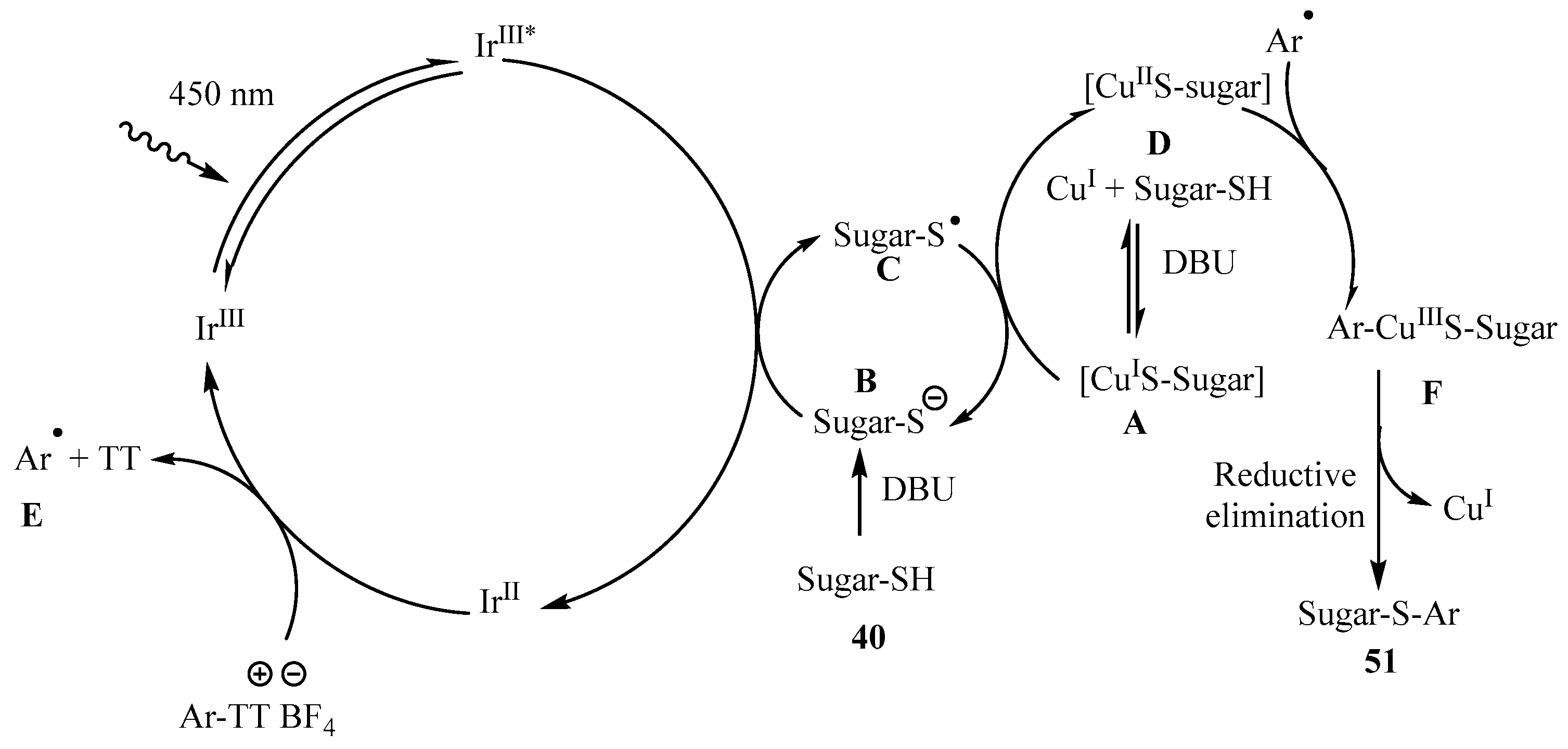 Molecules 30 02053 sch016 Molecules 30 02053 sch016