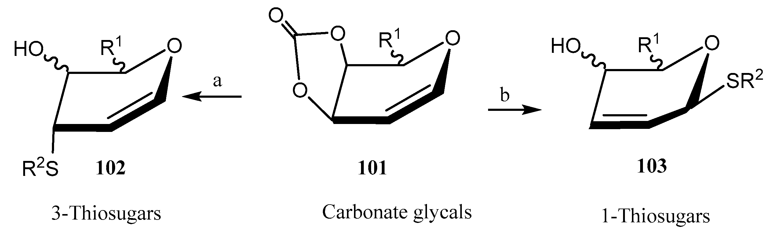 Molecules 30 02053 sch023 Molecules 30 02053 sch023