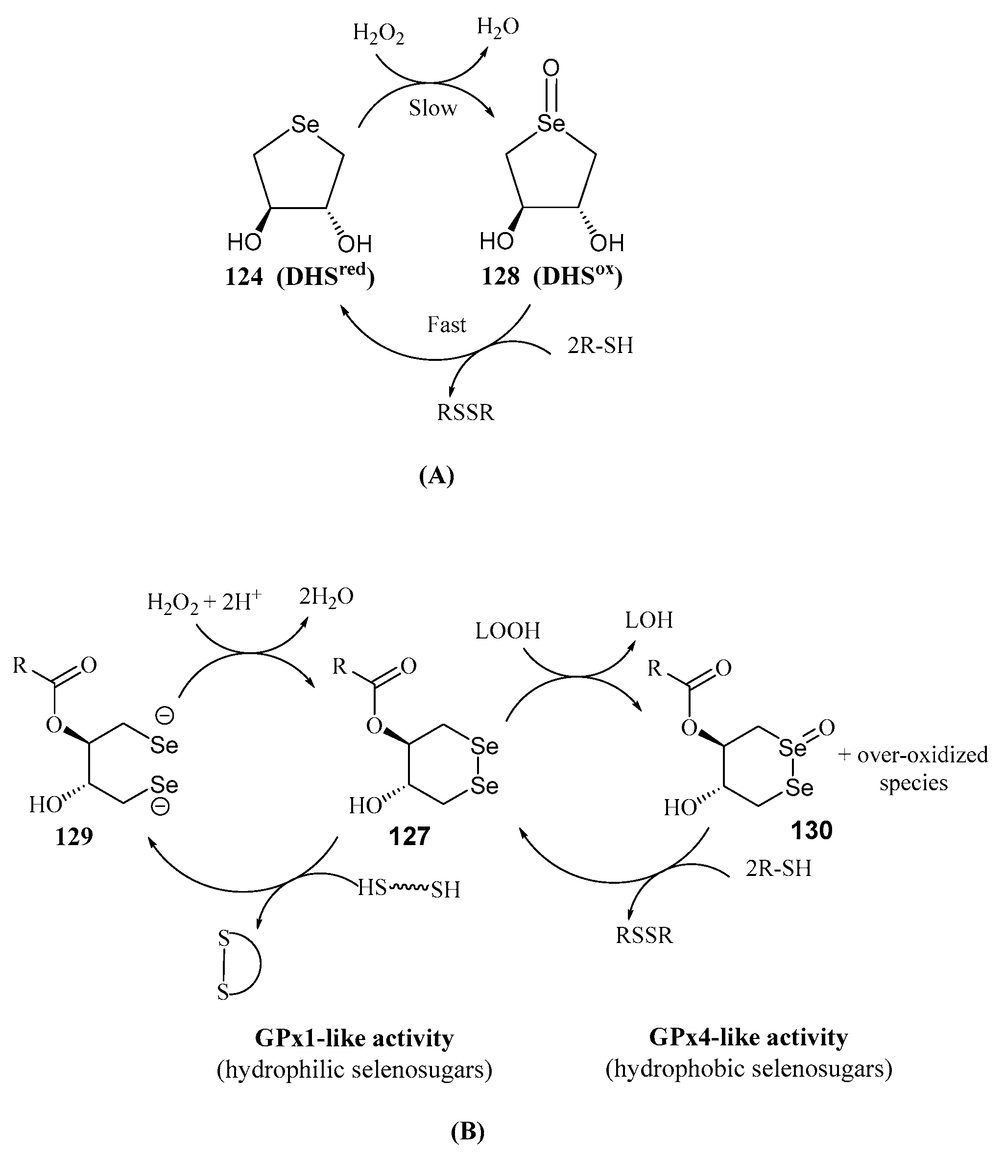 Molecules 30 02053 sch029 Molecules 30 02053 sch029