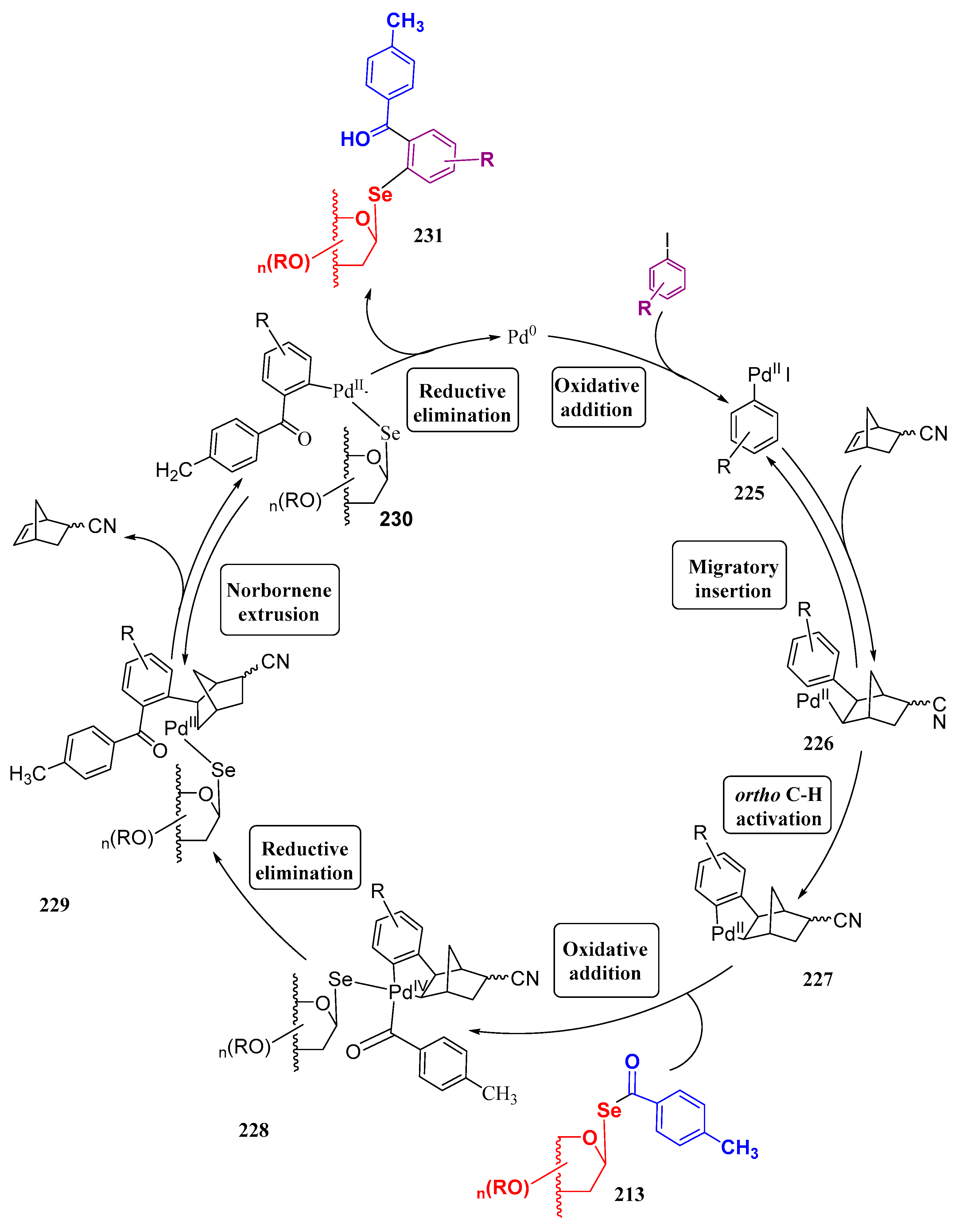 Molecules 30 02053 sch042 Molecules 30 02053 sch042