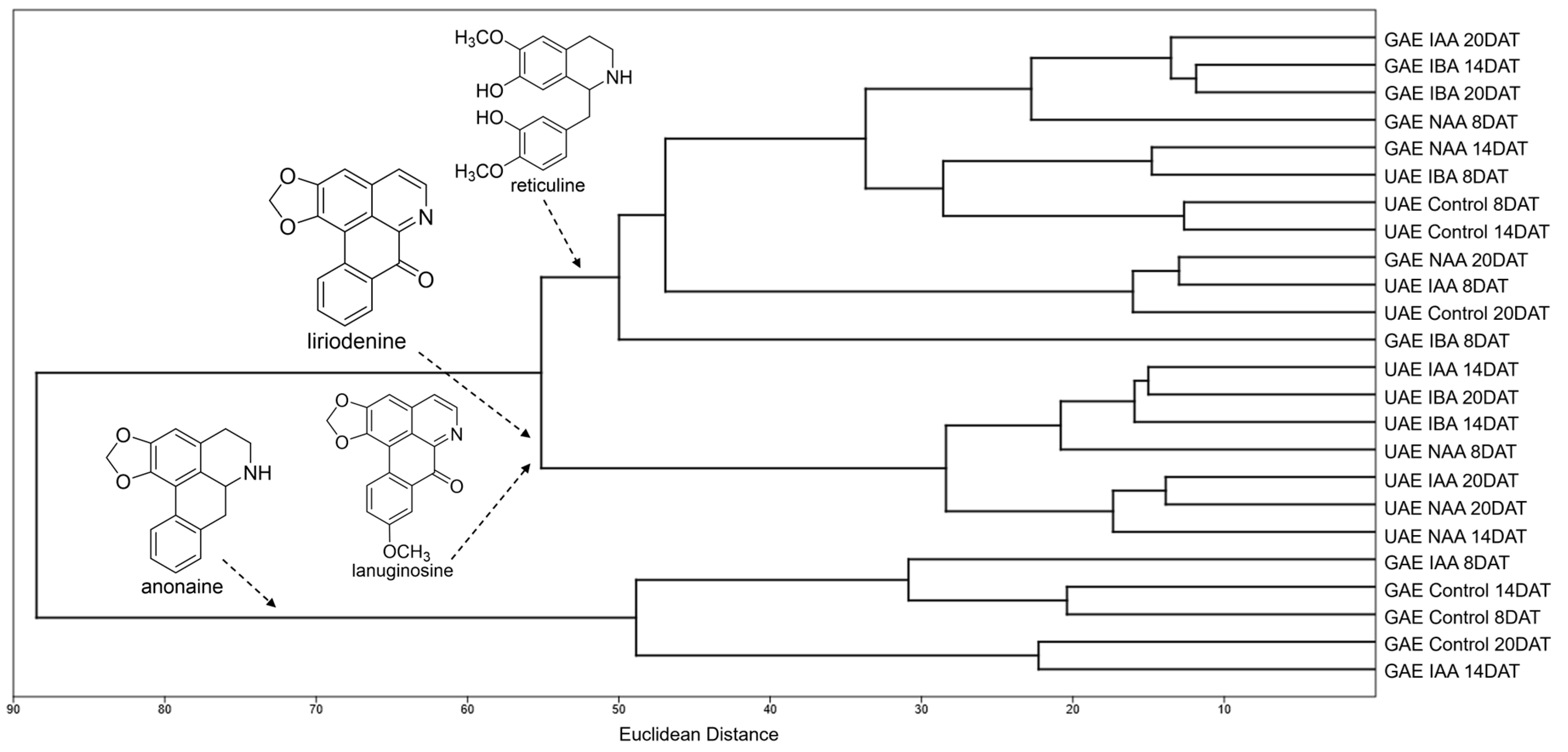 Molecules 30 02070 g003 Molecules 30 02070 g003