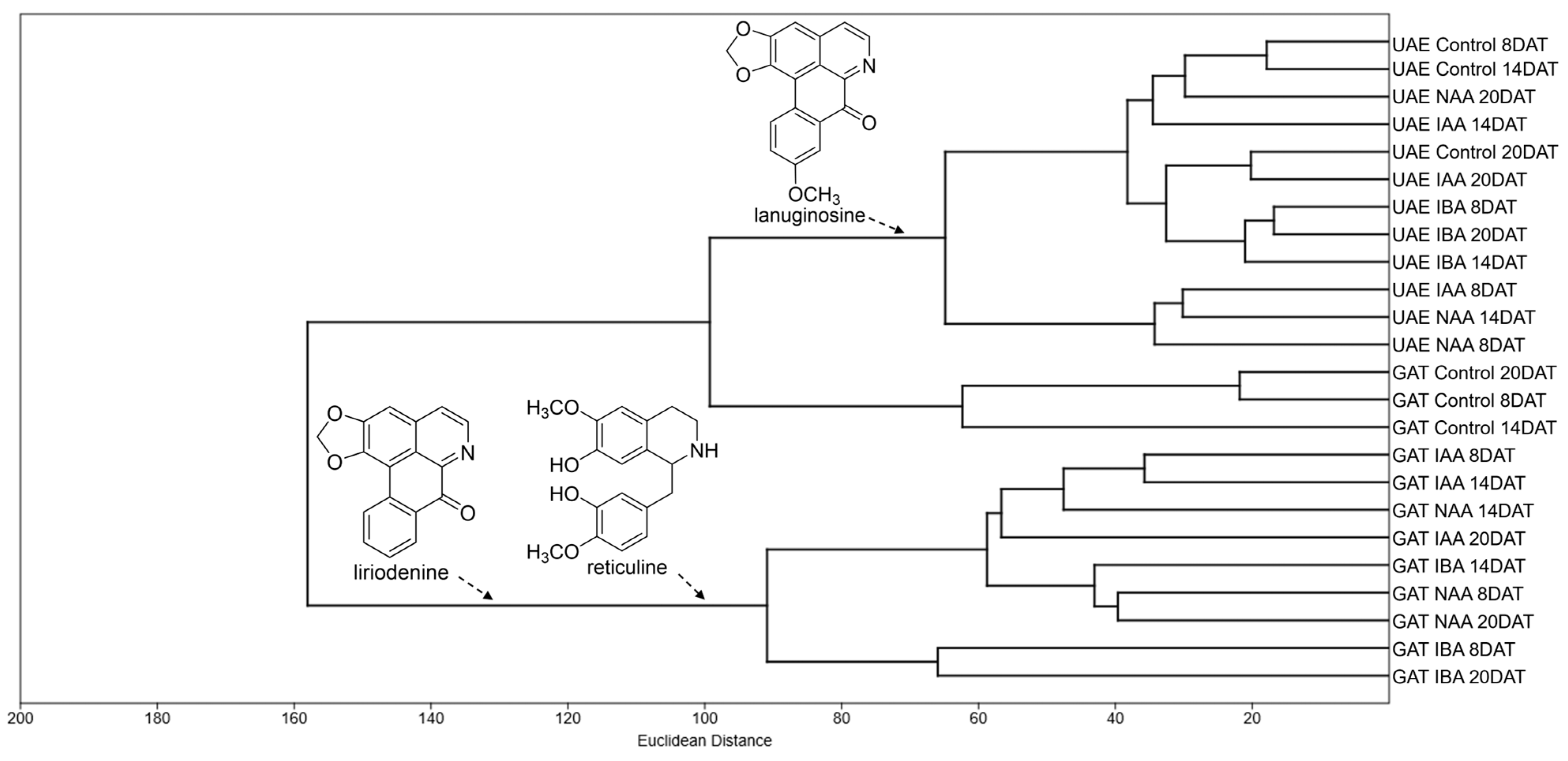 Molecules 30 02070 g005 Molecules 30 02070 g005