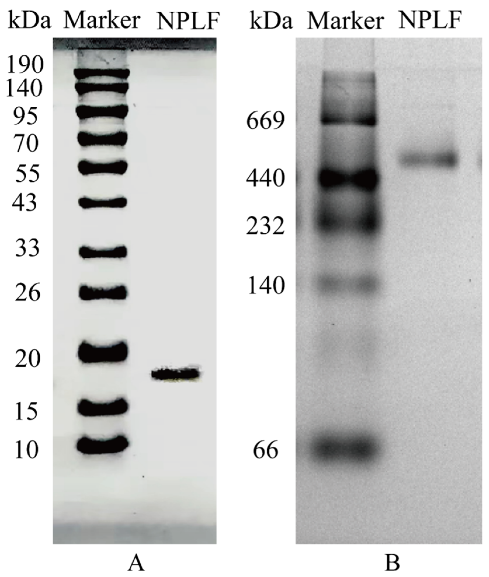 Molecules 30 02080 g003