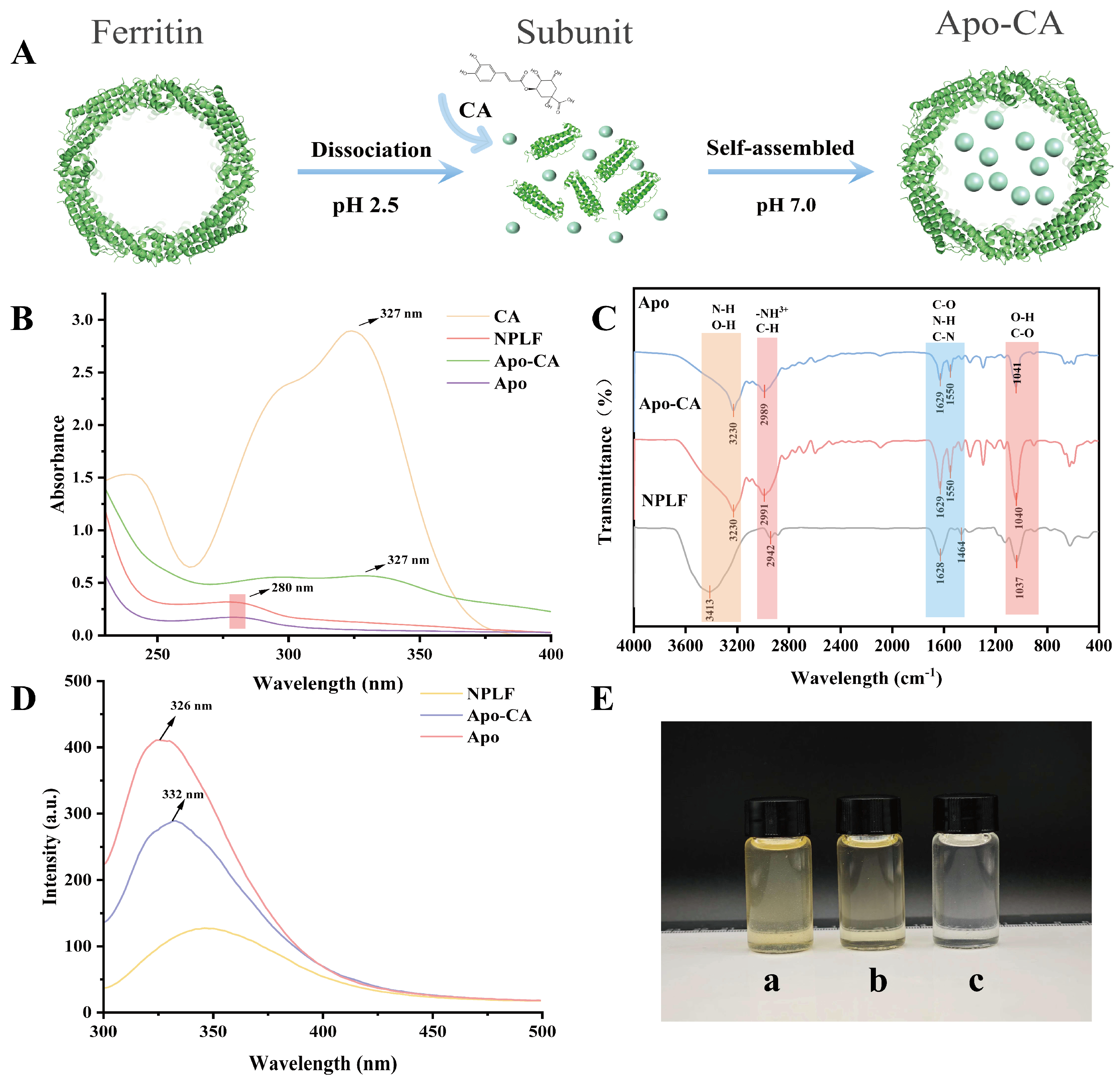 Molecules 30 02080 g005