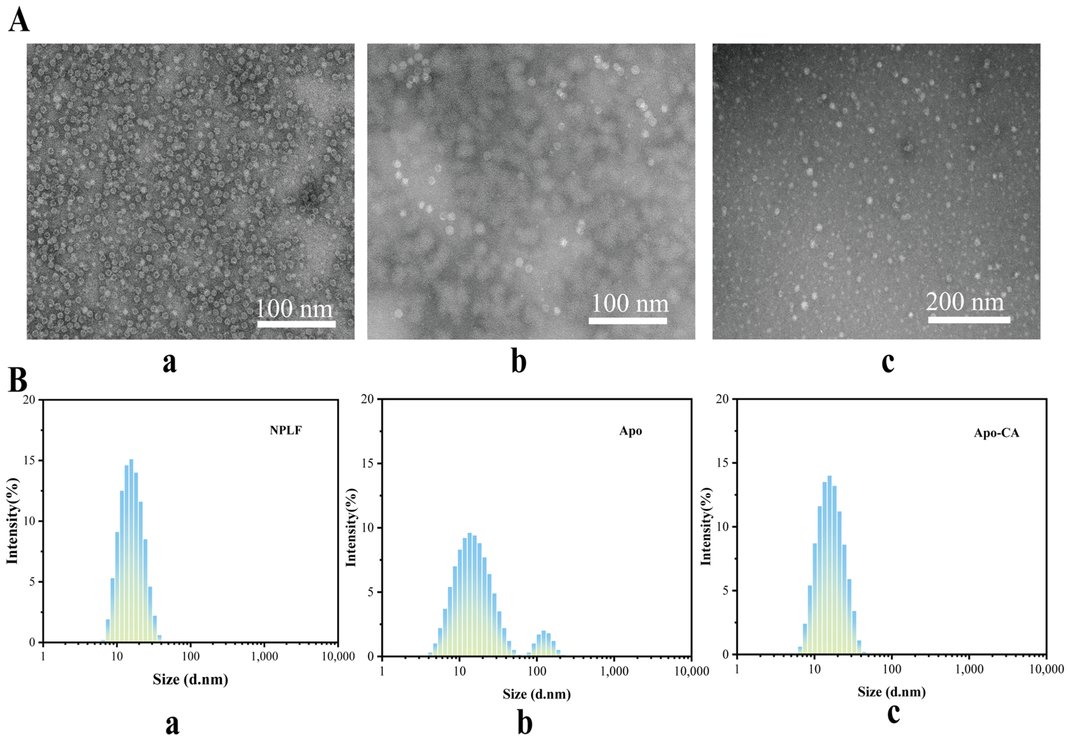Molecules 30 02080 g006