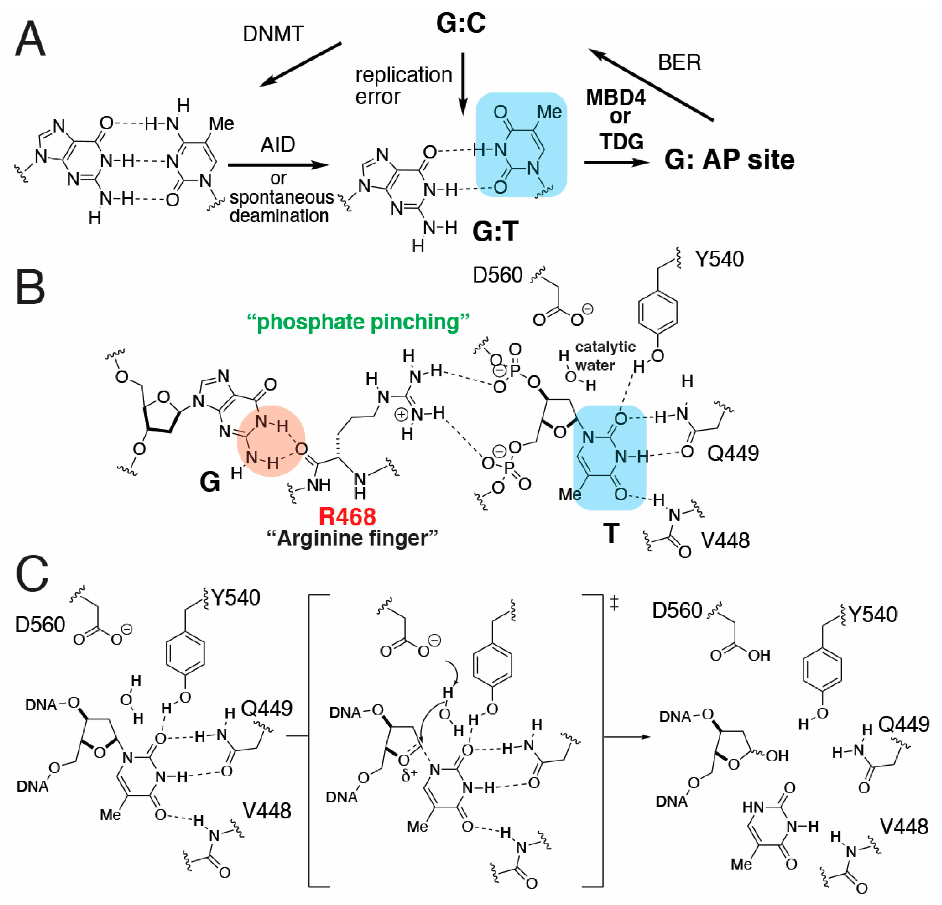Molecules 30 02083 g001