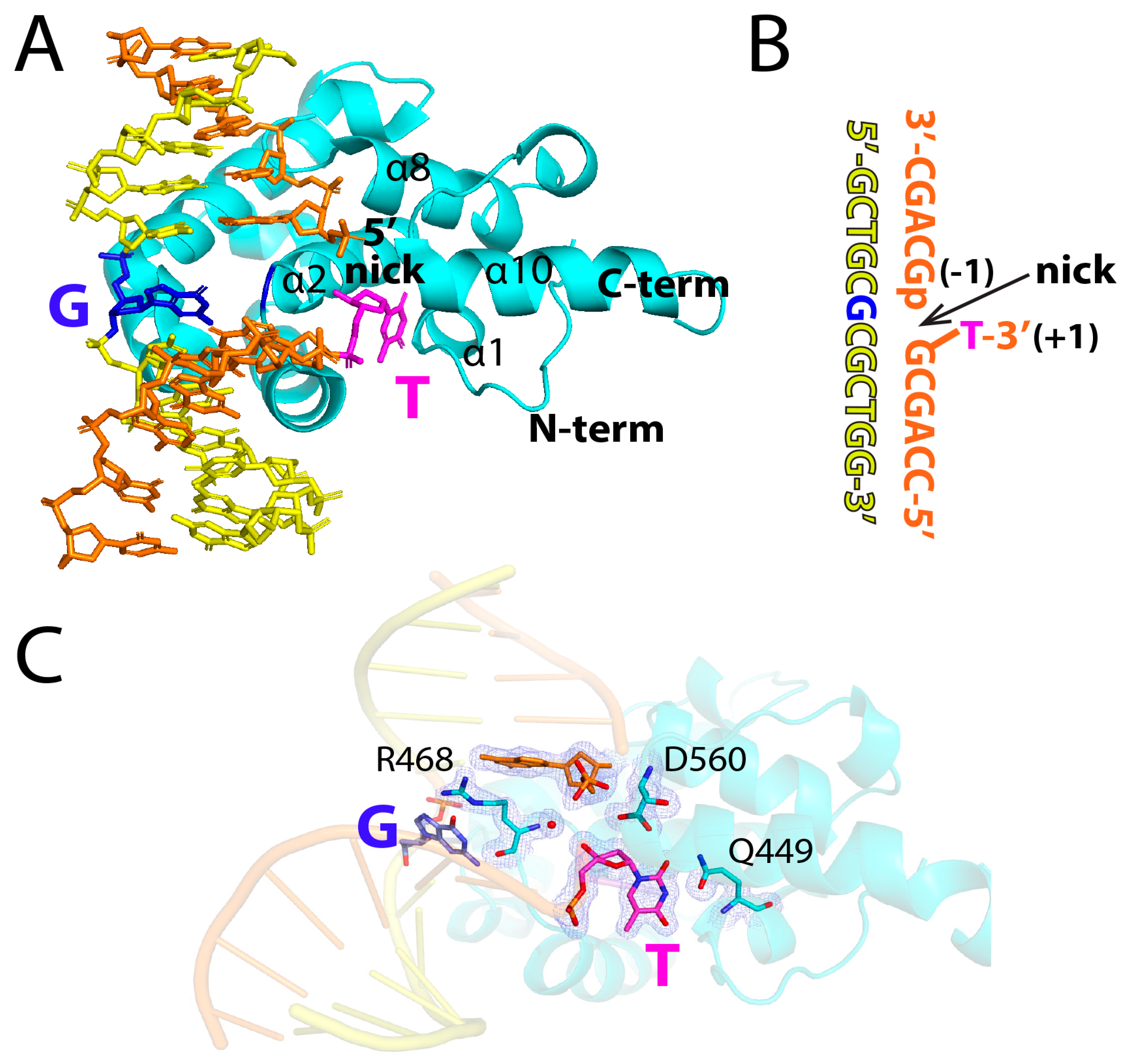 Molecules 30 02083 g003