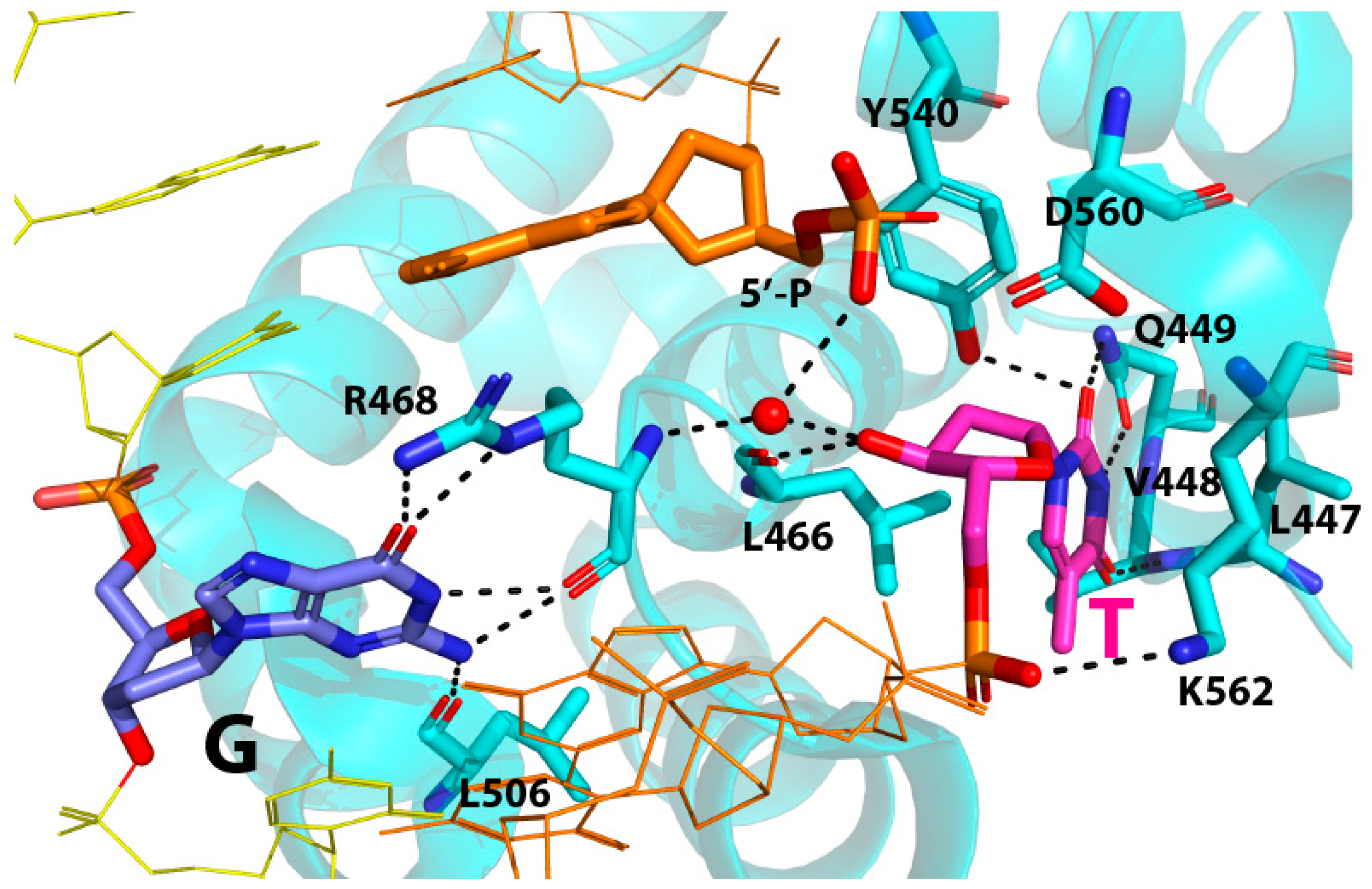 Molecules 30 02083 g004