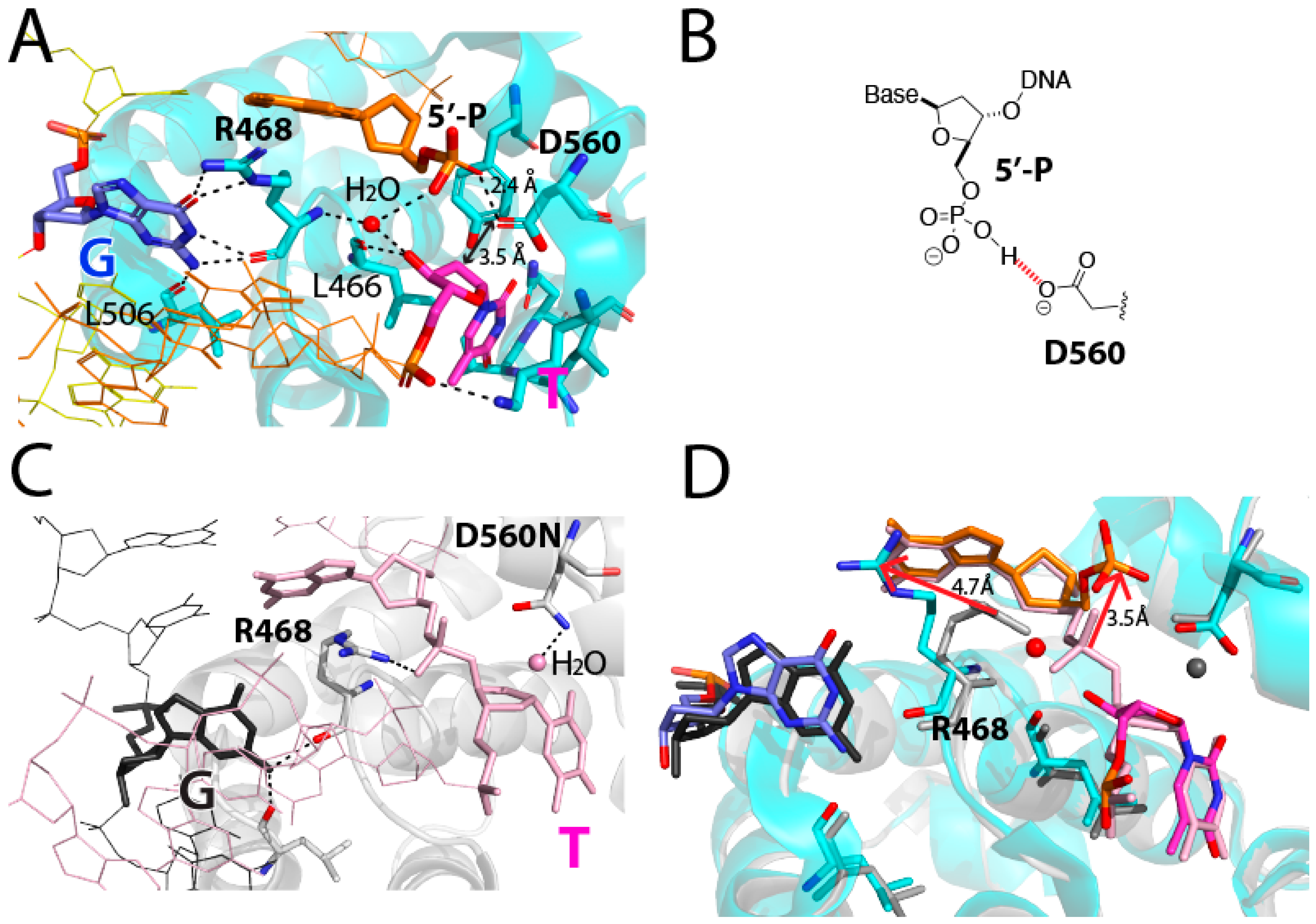 Molecules 30 02083 g005