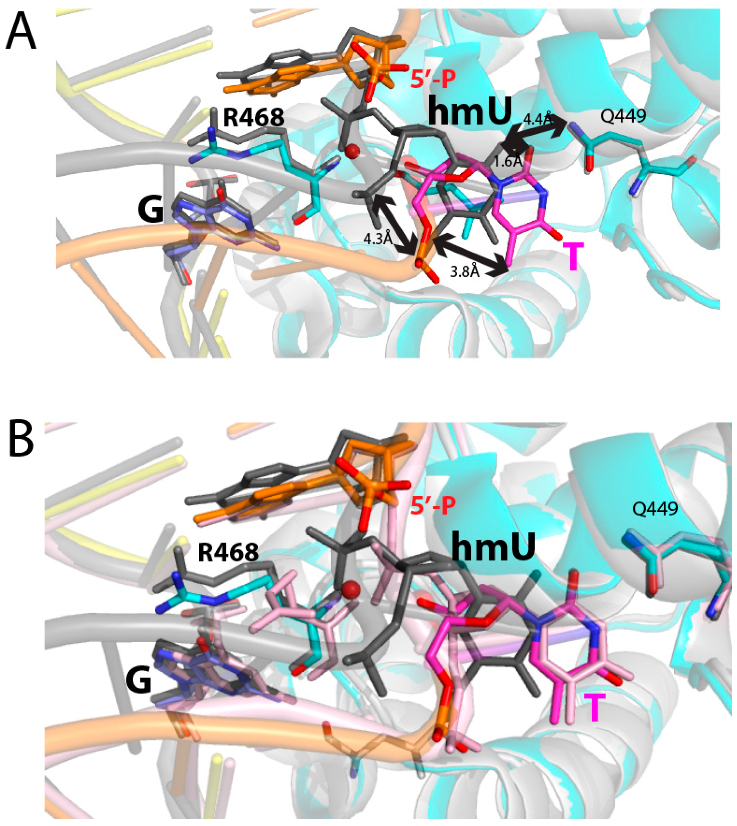 Molecules 30 02083 g006