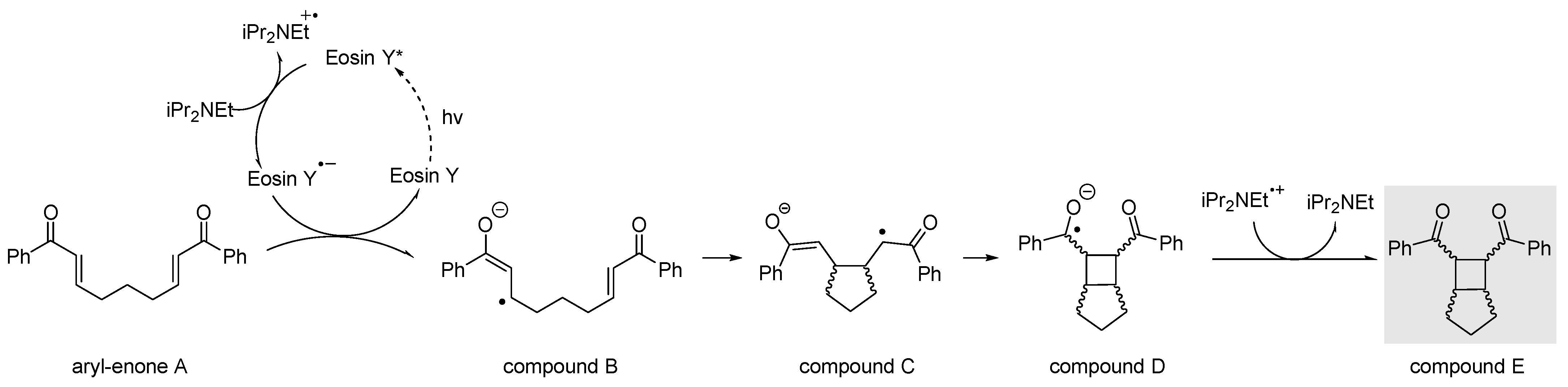 Molecules 30 02090 sch003