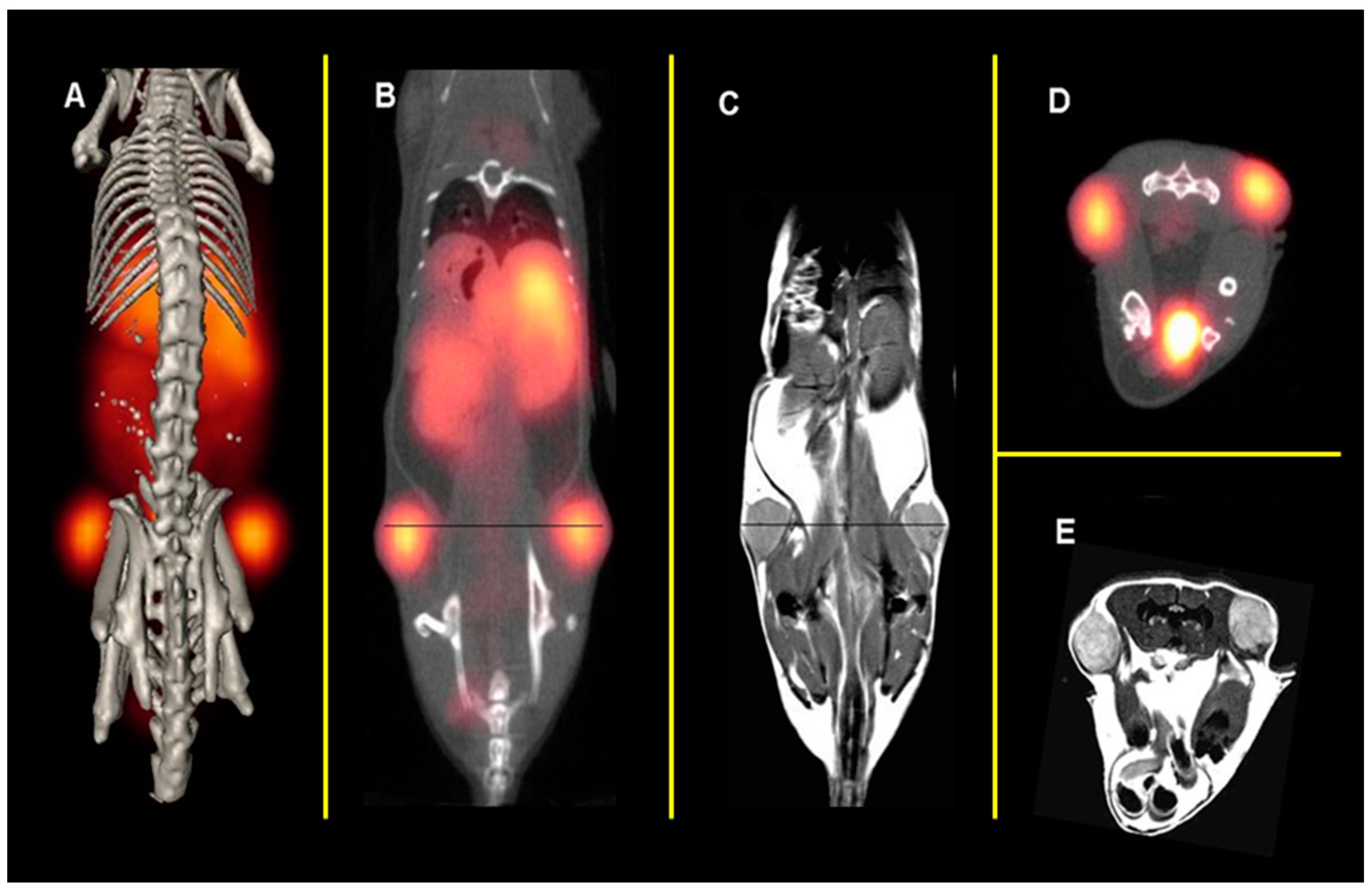 Molecules 30 02095 g002