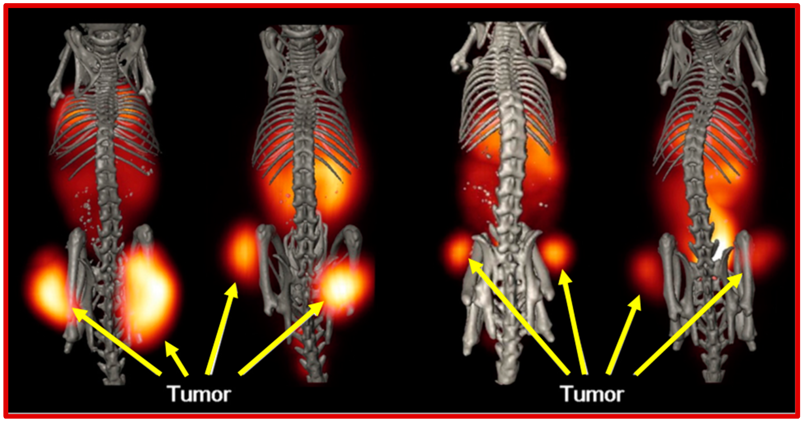 Molecules 30 02095 g004