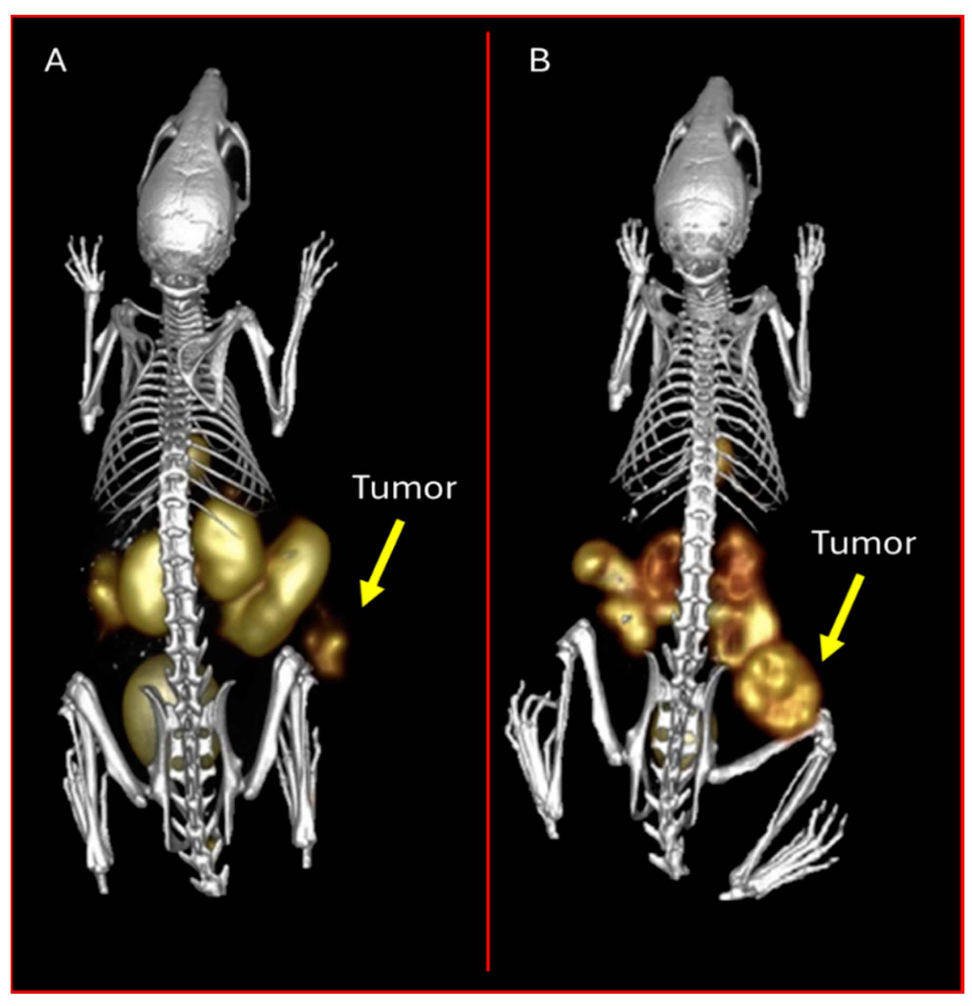 Molecules 30 02095 g012