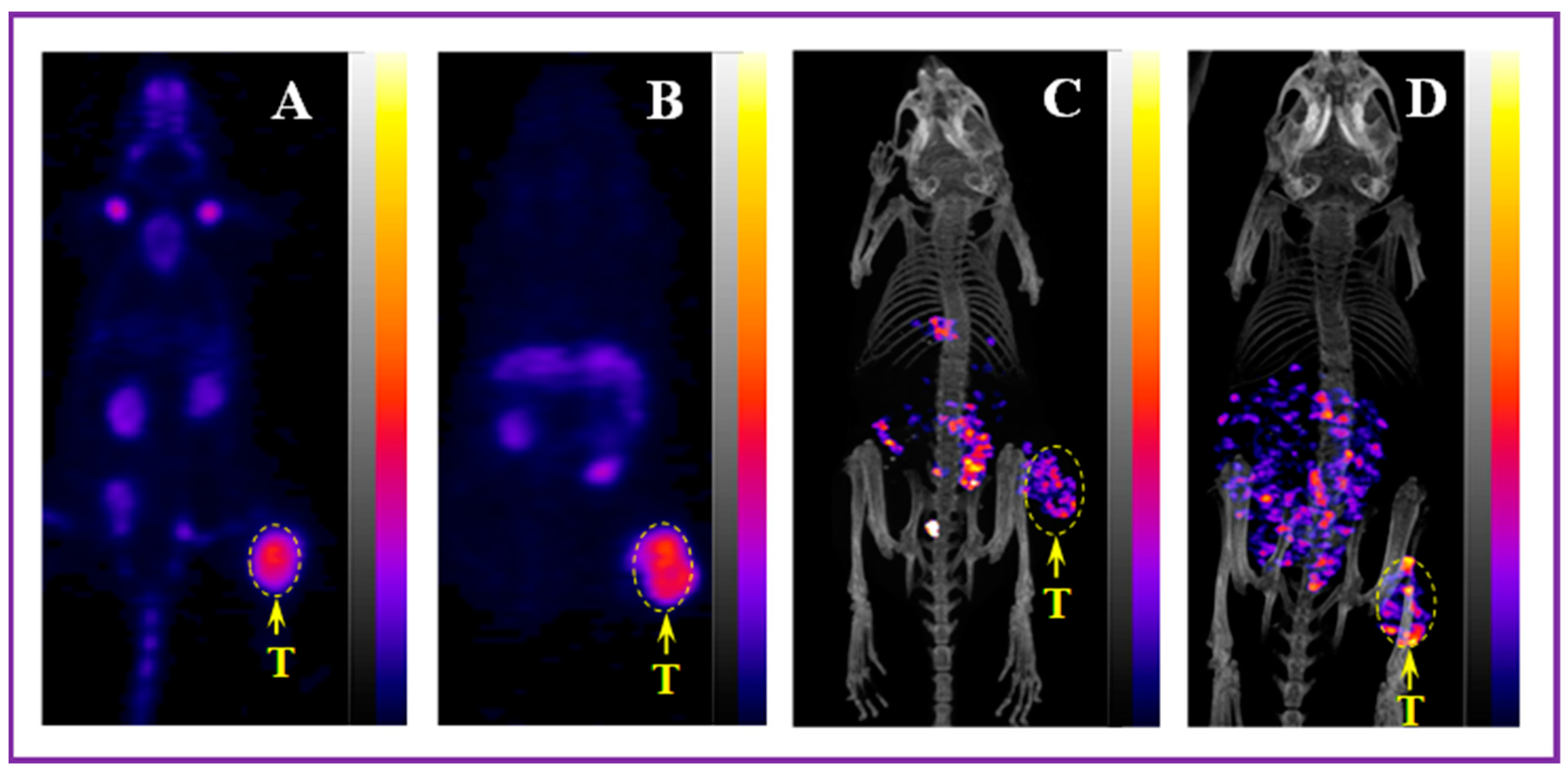Molecules 30 02095 g014