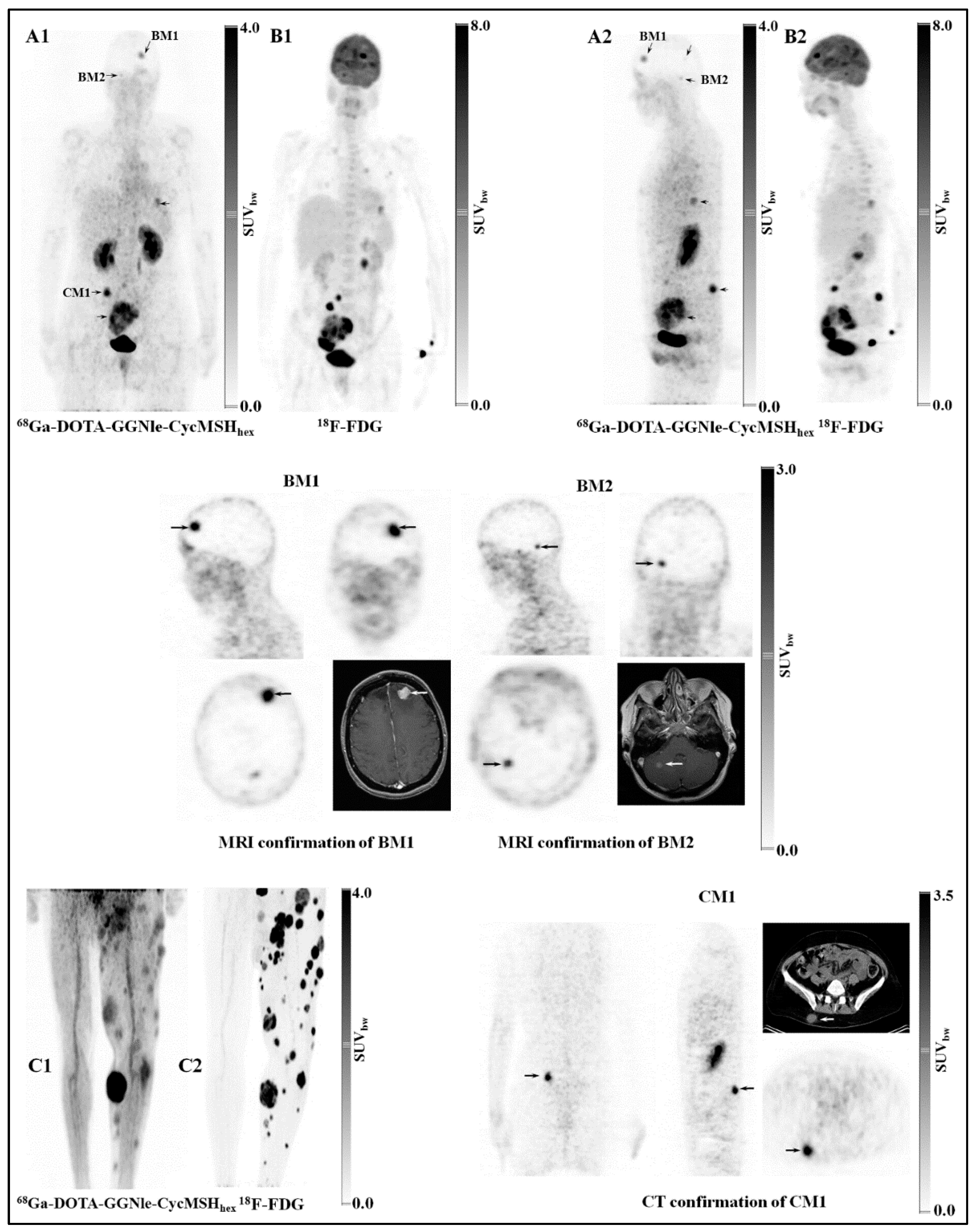 Molecules 30 02095 g015