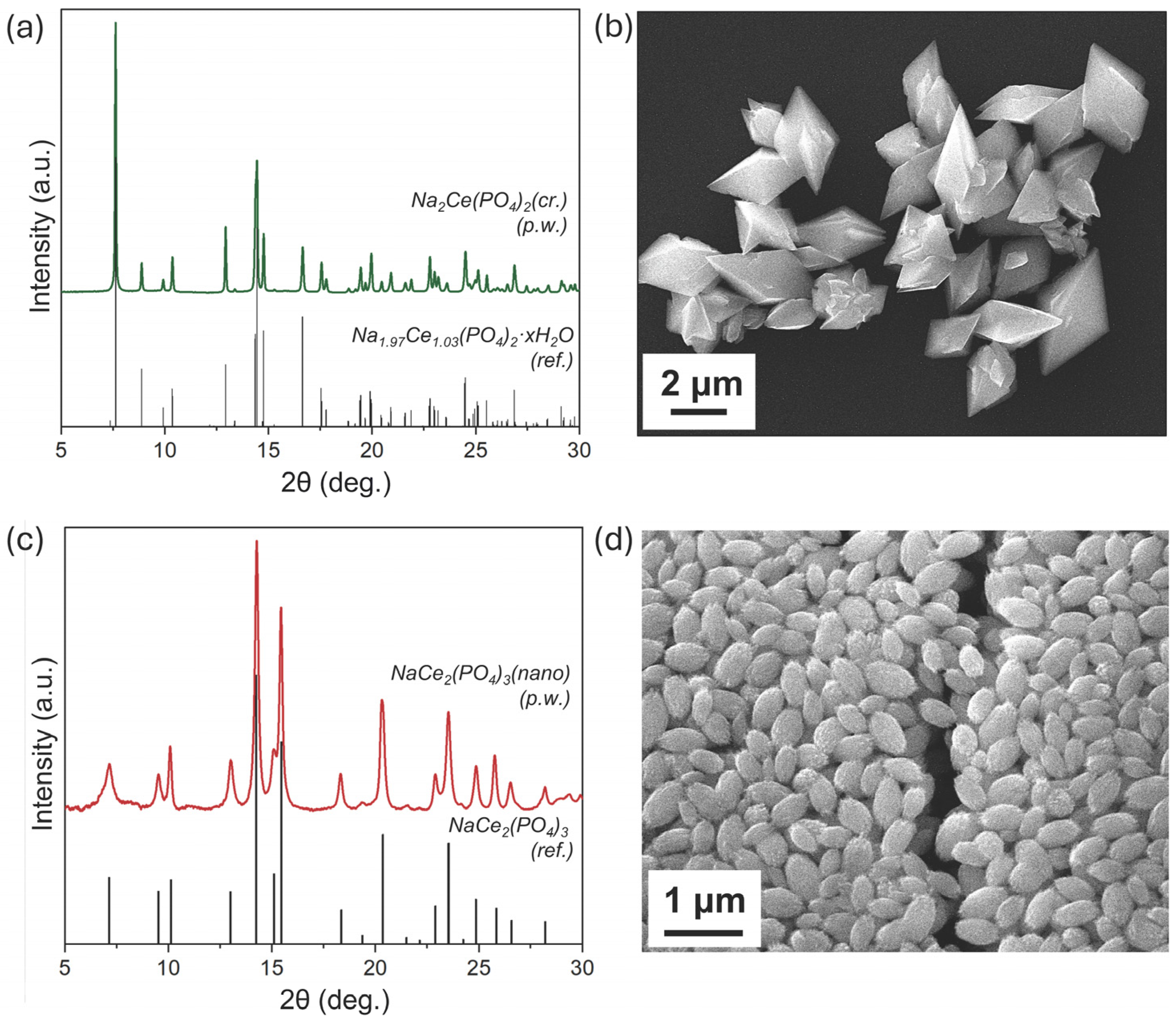 Molecules 30 02105 g001