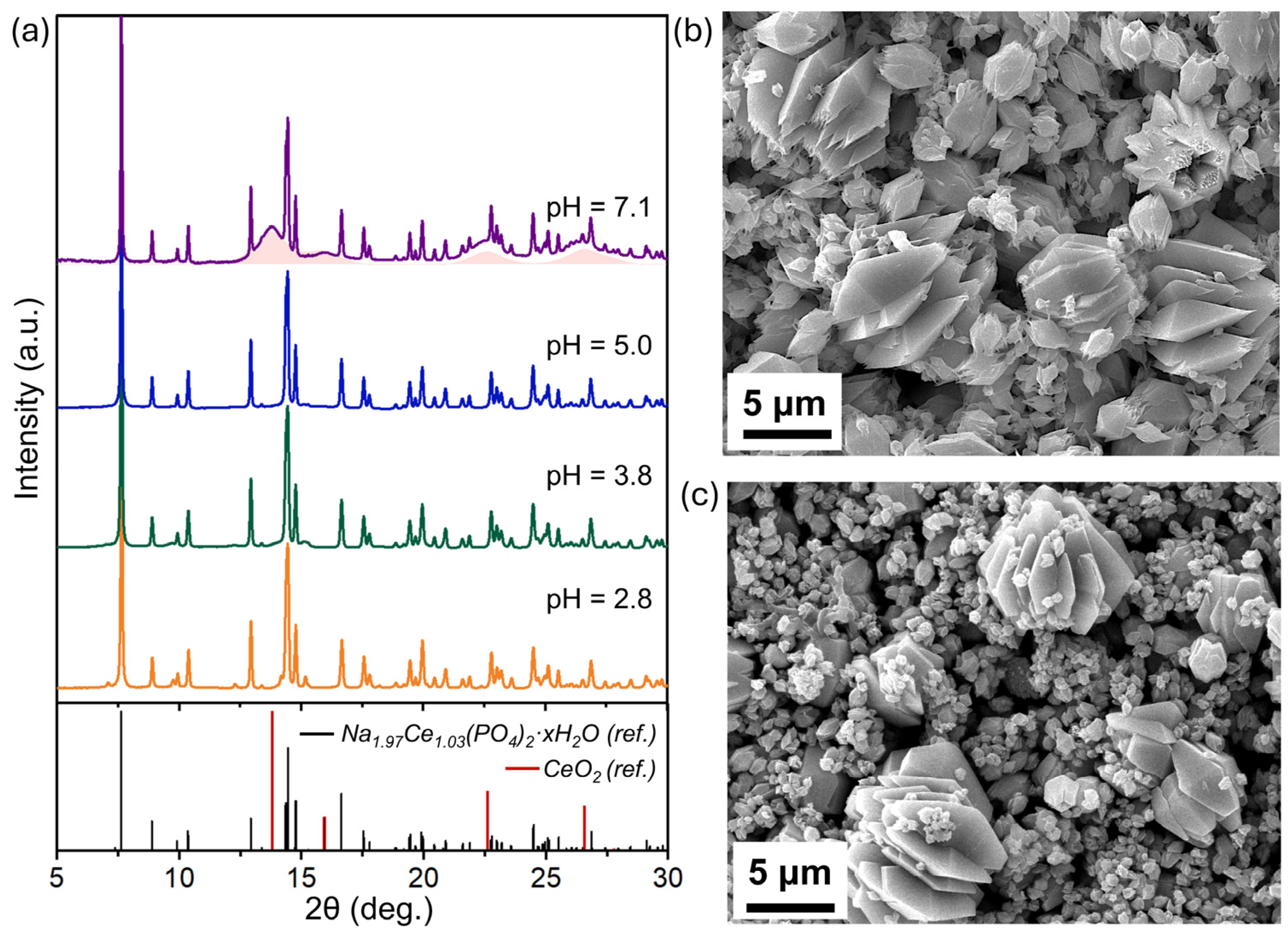 Molecules 30 02105 g004