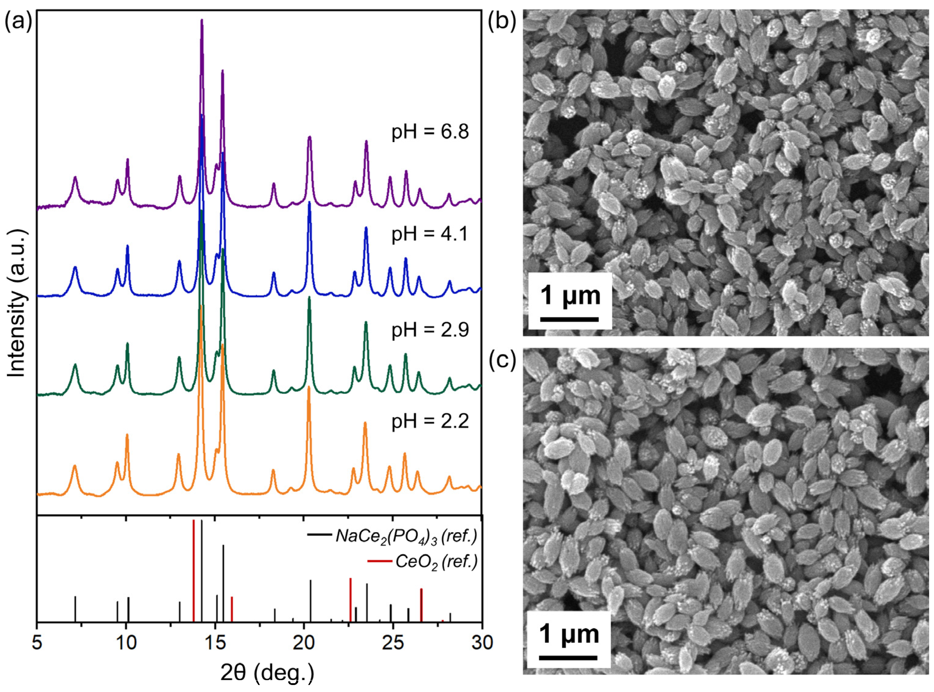 Molecules 30 02105 g007