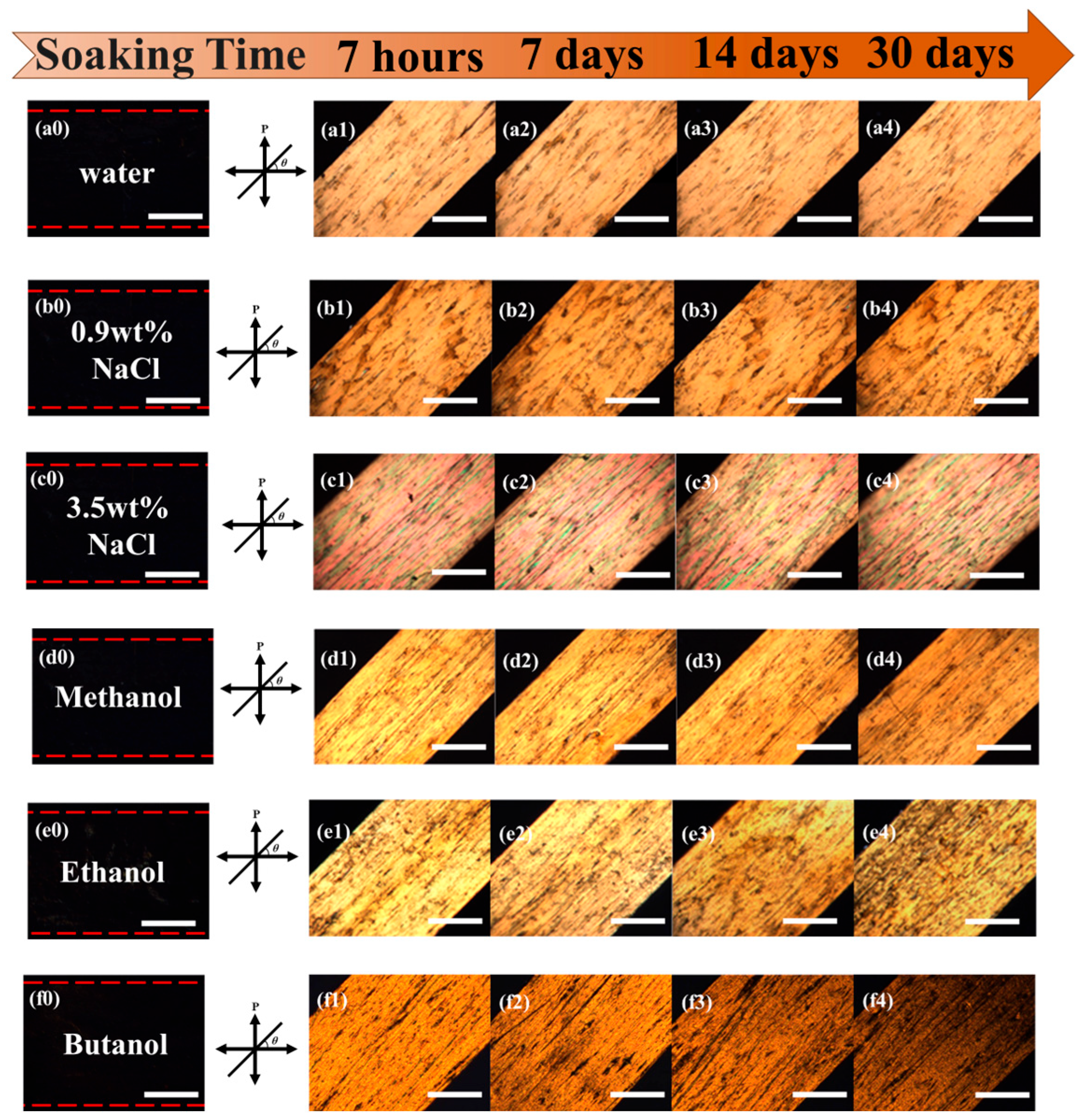 Molecules 30 02106 g007