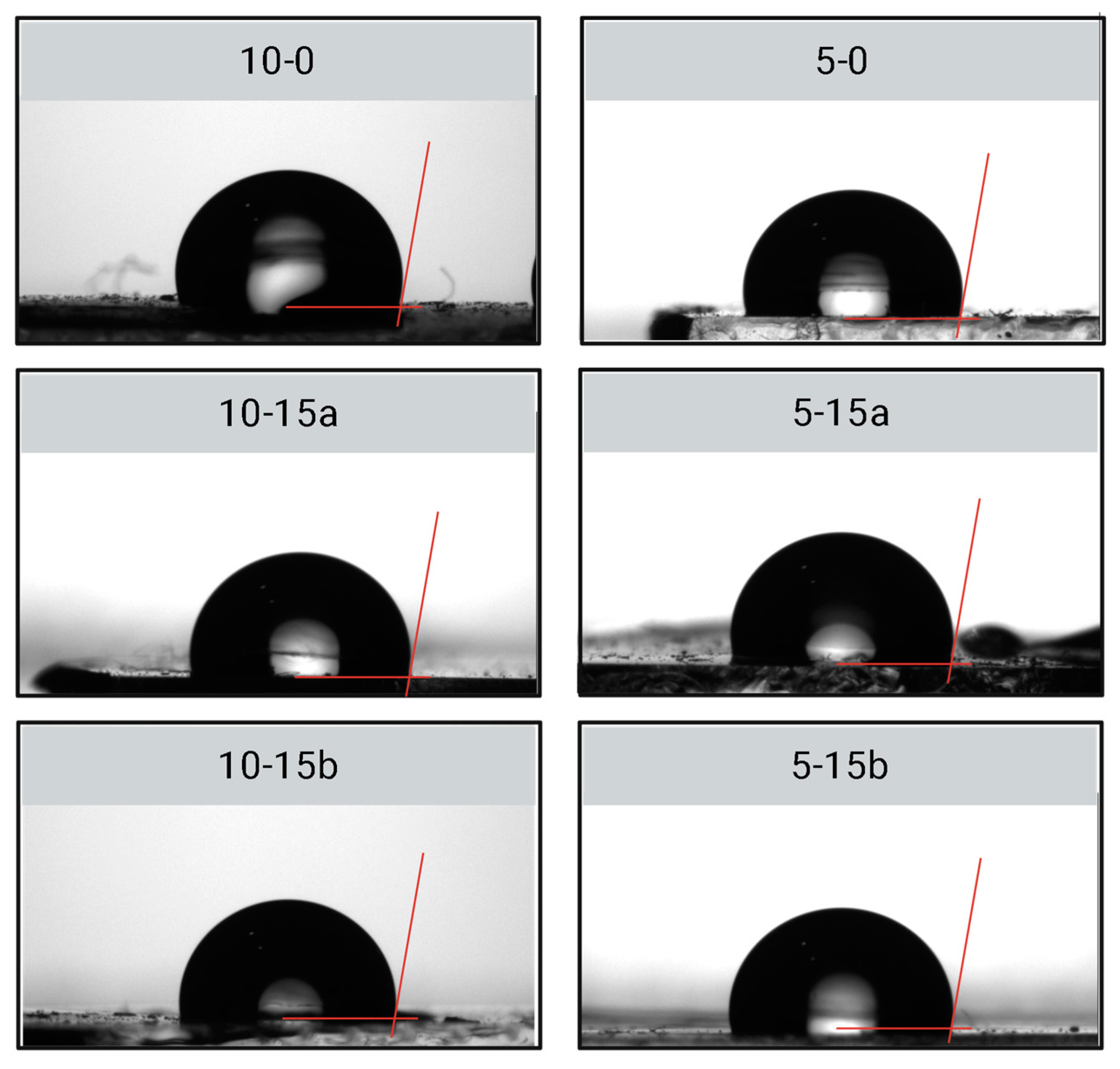 Molecules 30 02107 g004 Molecules 30 02107 g004