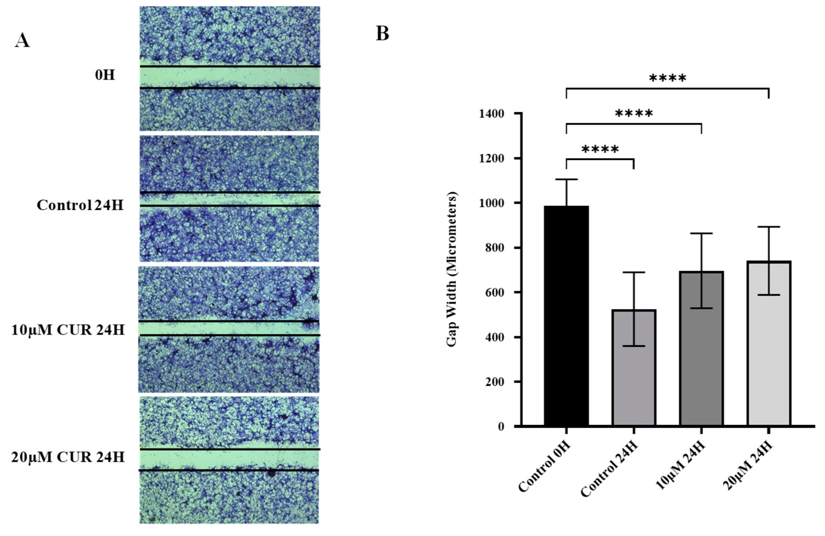 Molecules 30 02108 g002