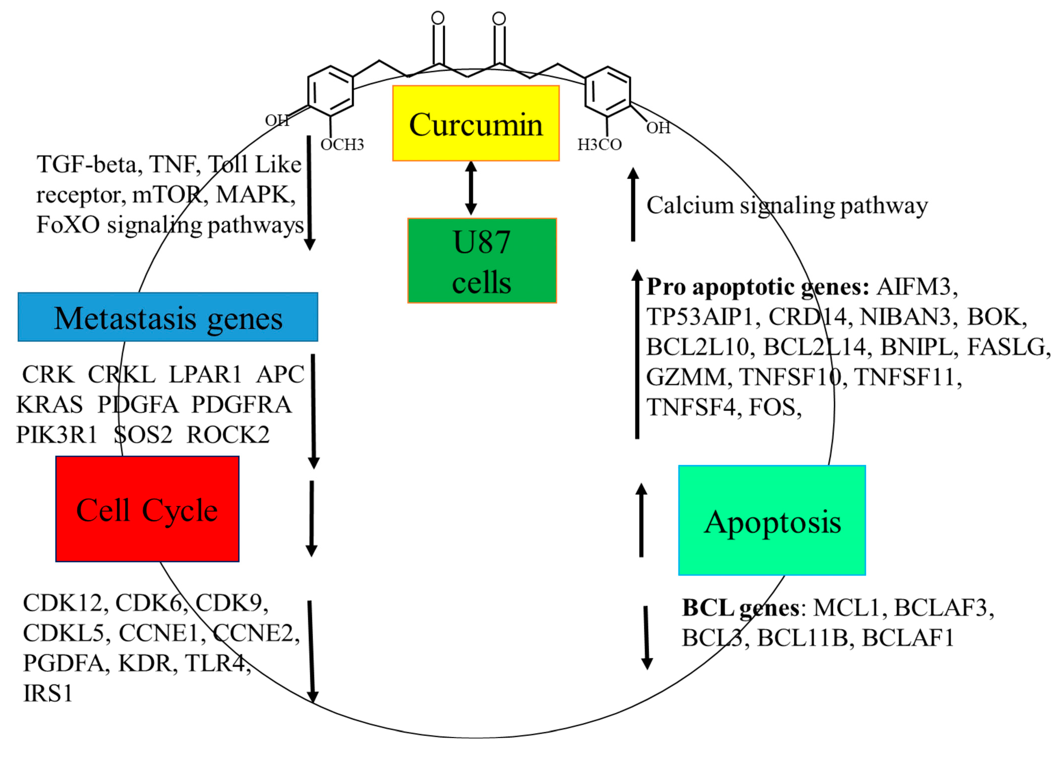 Molecules 30 02108 g006