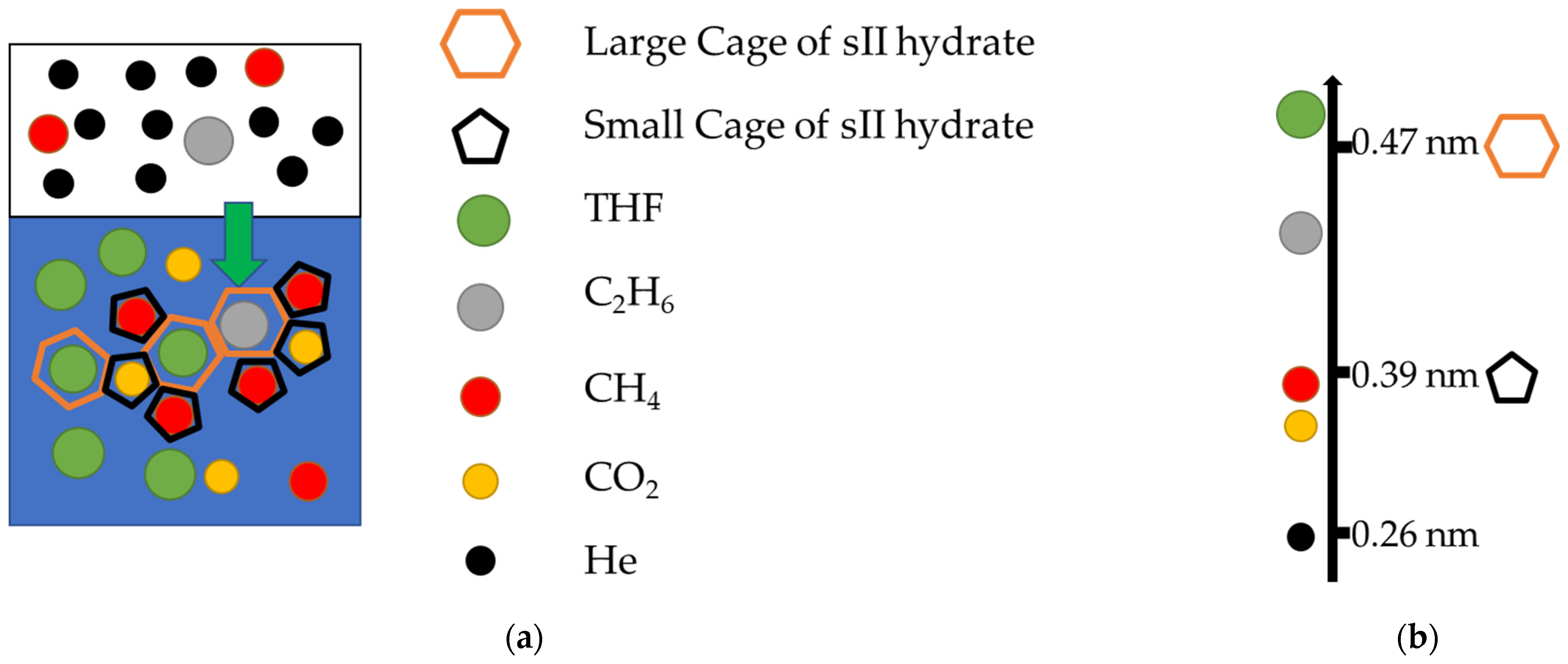 Molecules 30 02109 g001