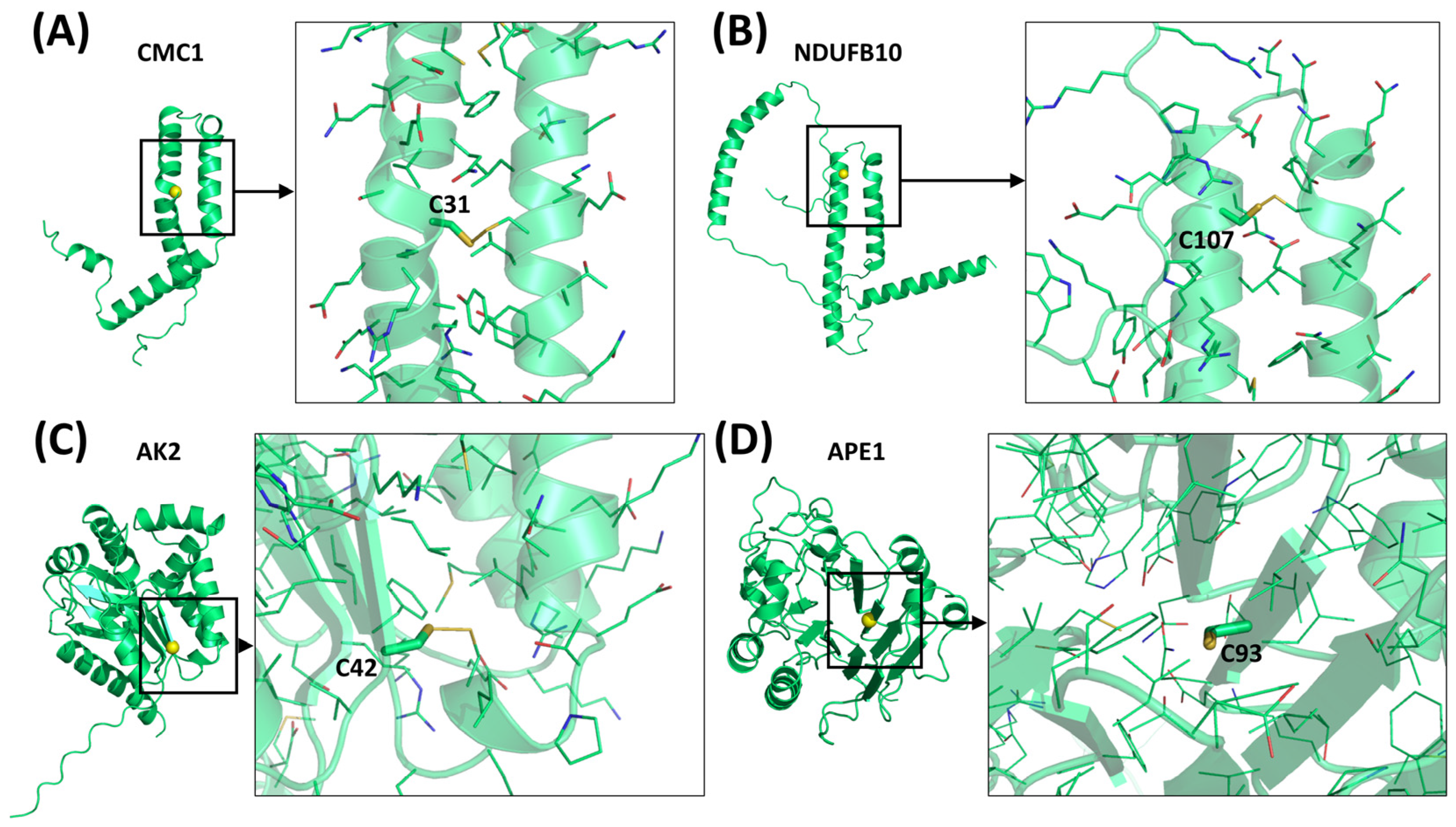 Molecules 30 02117 g004