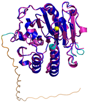 Molecules 30 02117 i011
