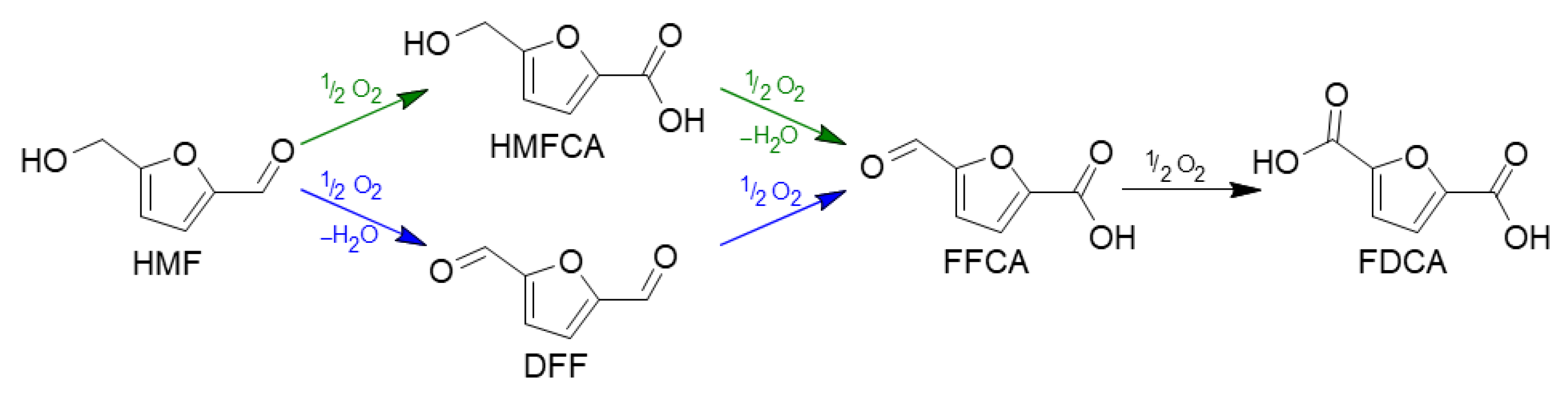 Molecules 30 02120 g007 Molecules 30 02120 g007