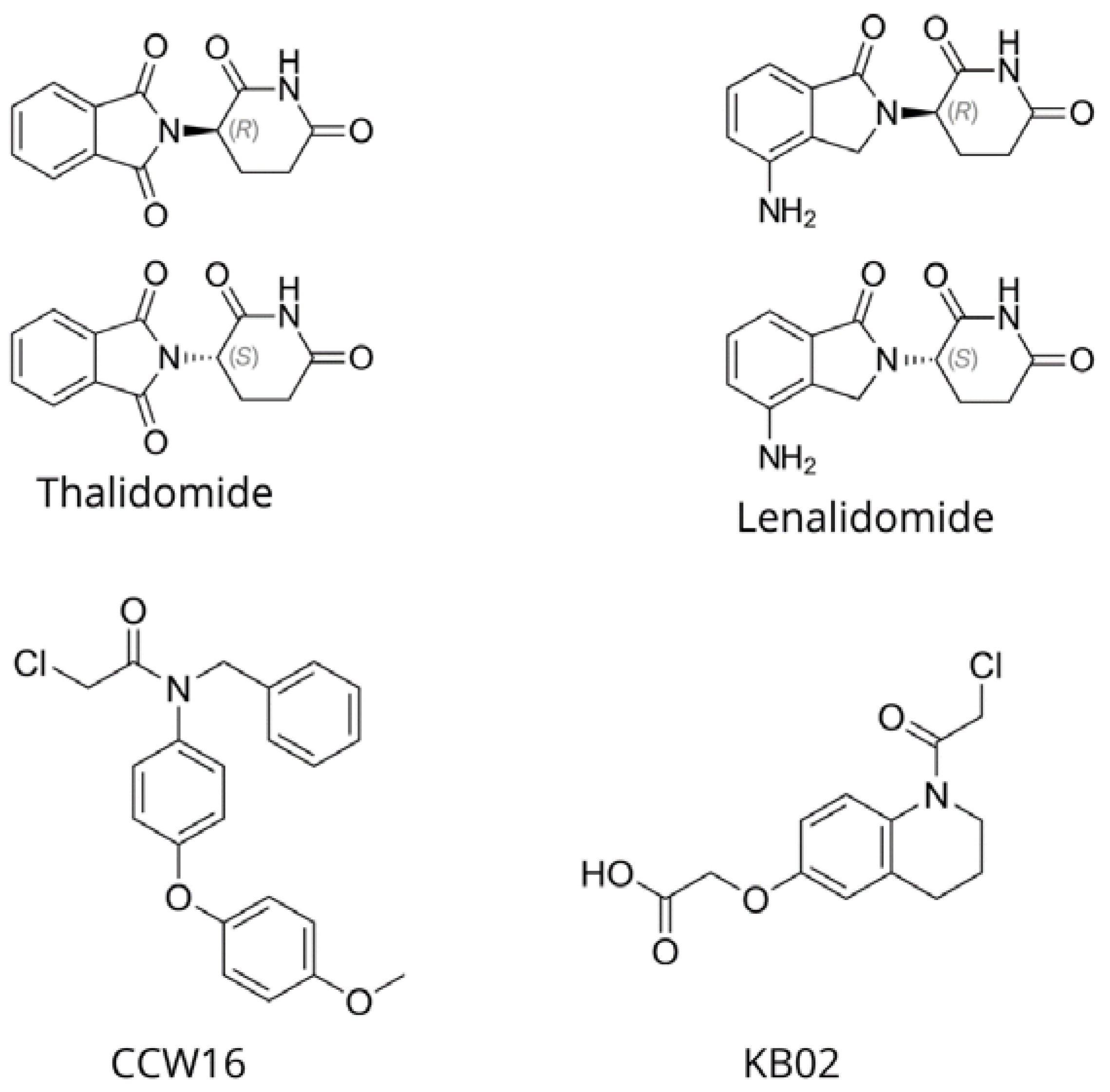 Molecules 30 02123 g002 Molecules 30 02123 g002