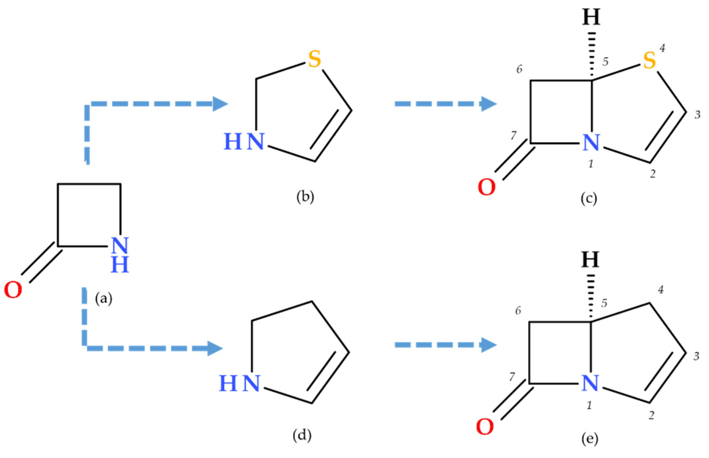 Molecules 30 02126 g003 Molecules 30 02126 g003