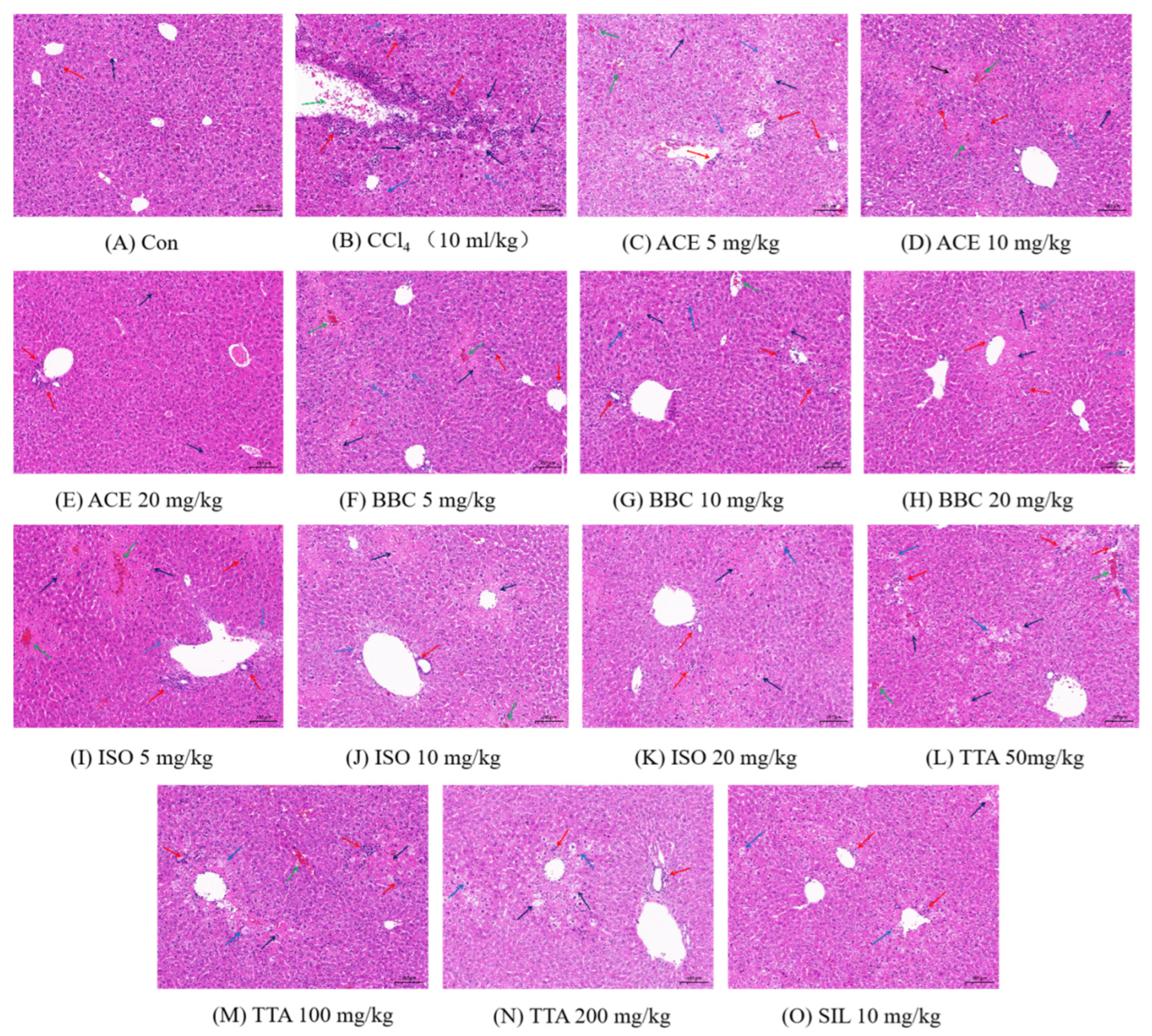 Molecules 30 02127 g009