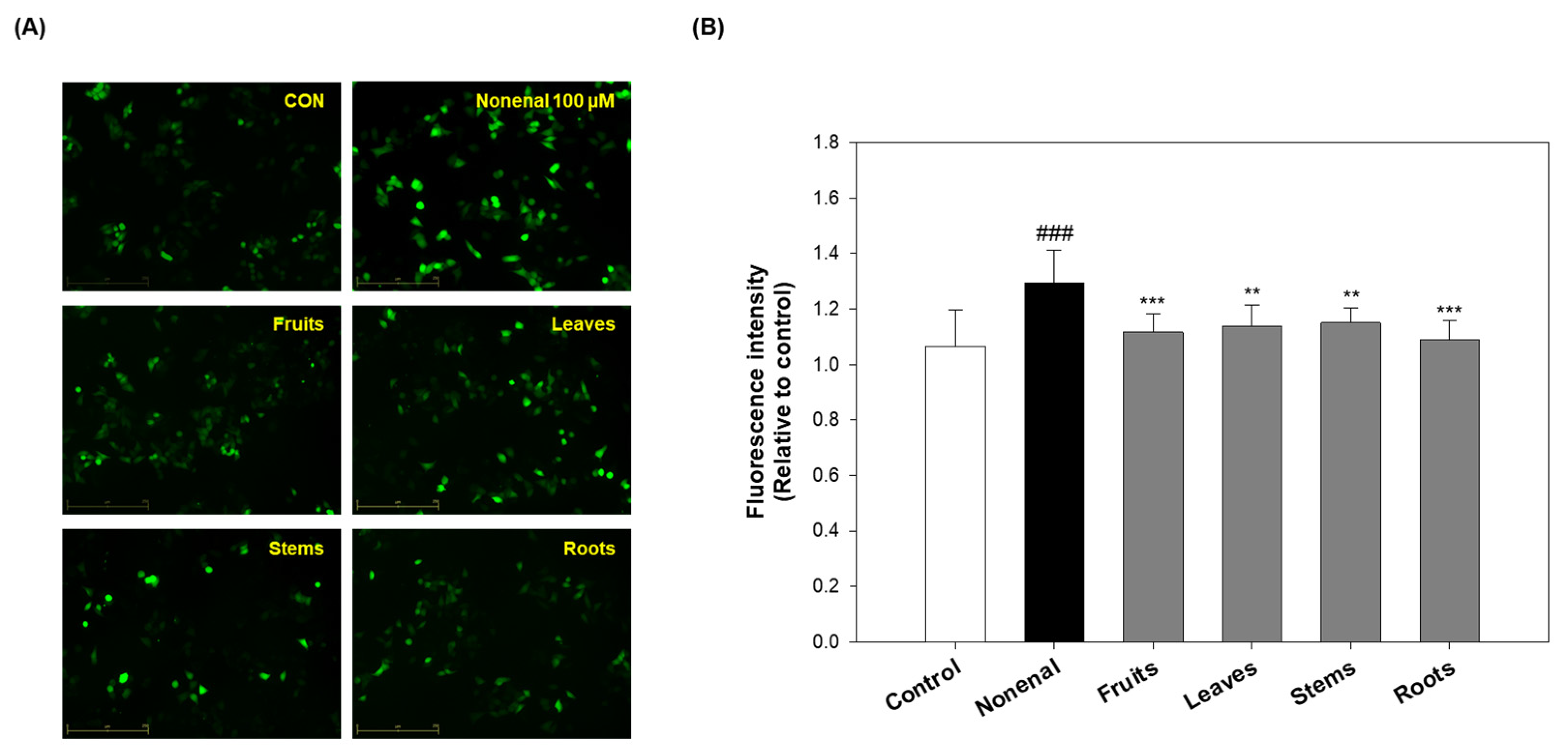 Molecules 30 02129 g006