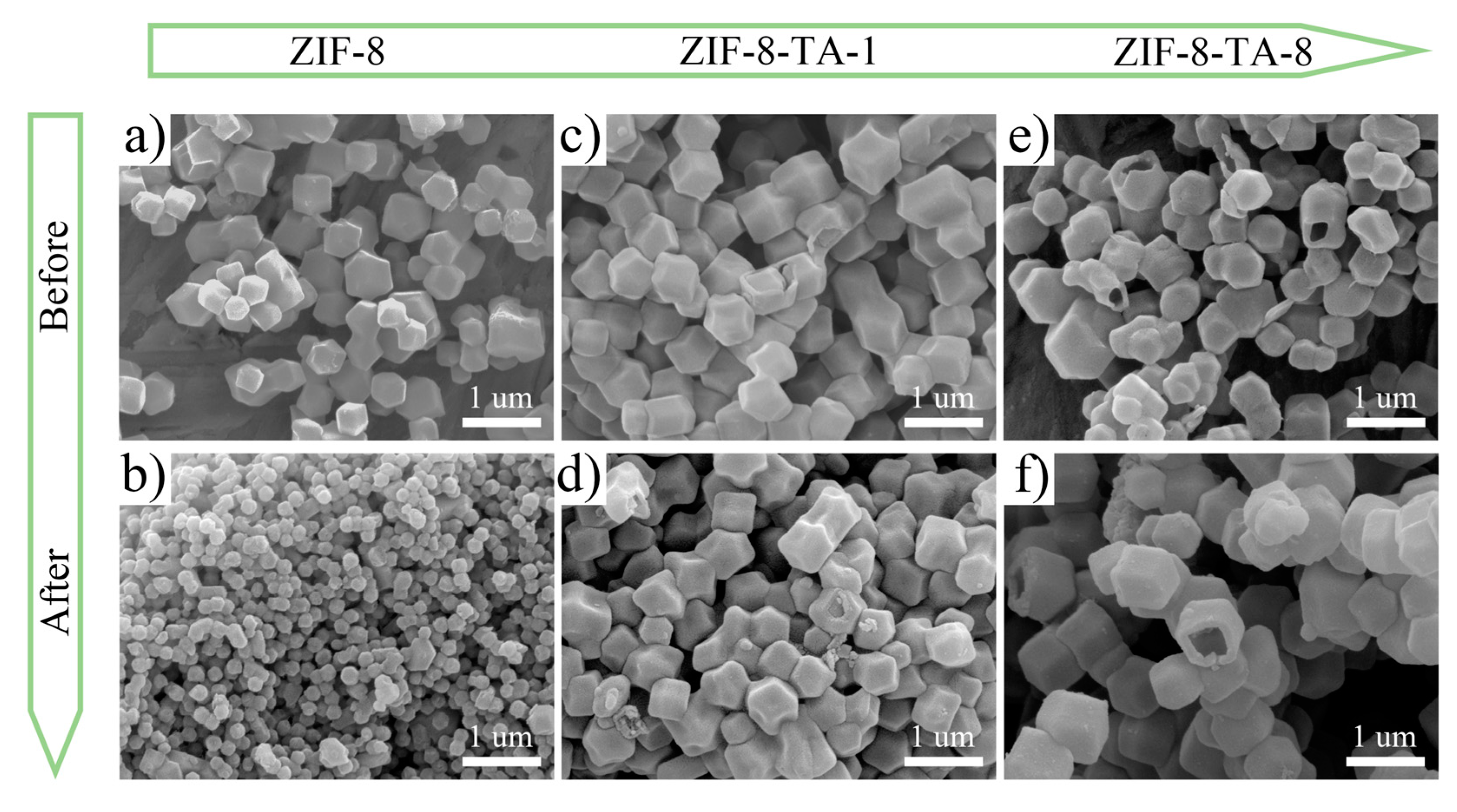 Molecules 30 02130 g003 Molecules 30 02130 g003
