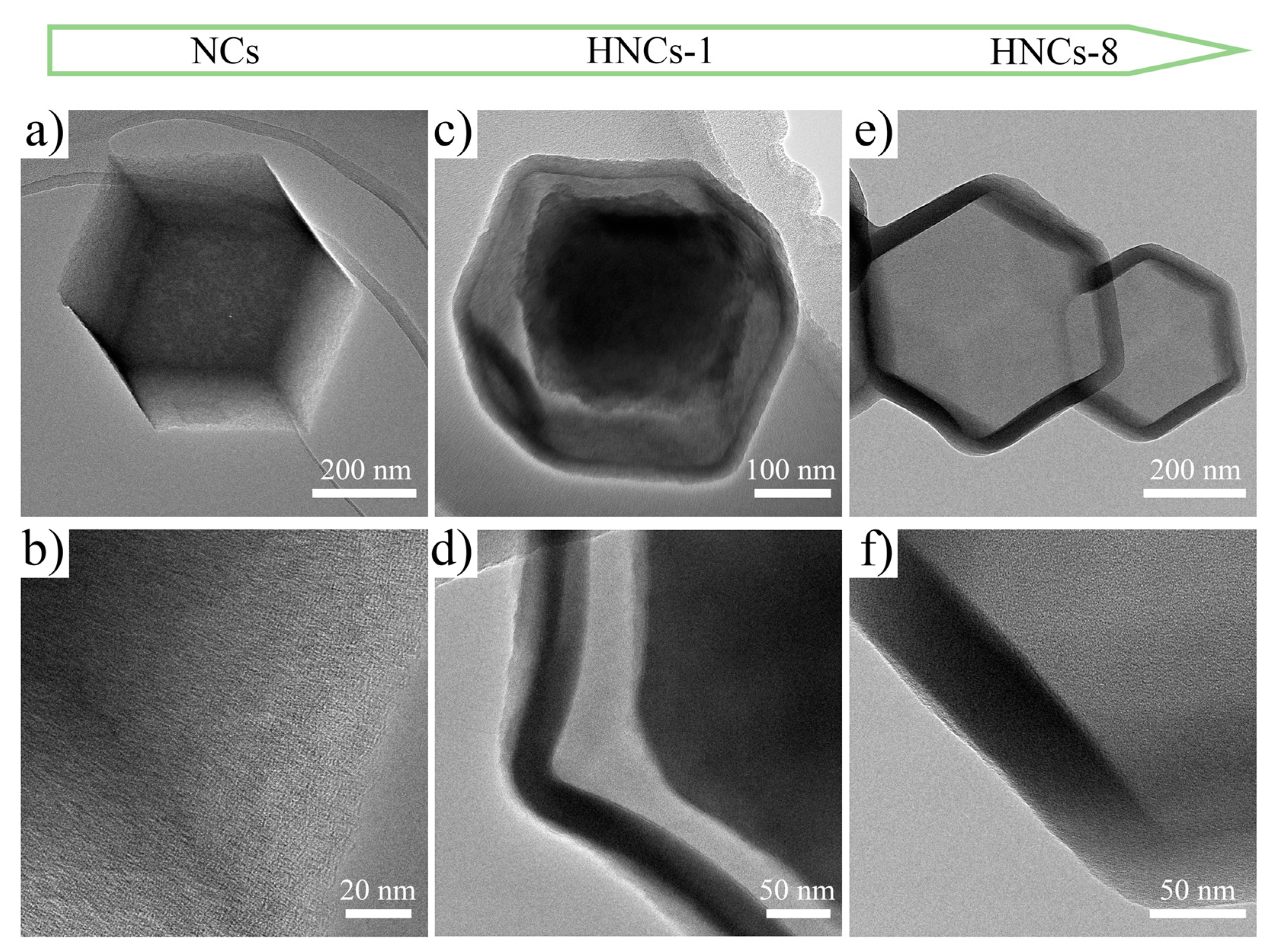 Molecules 30 02130 g004 Molecules 30 02130 g004