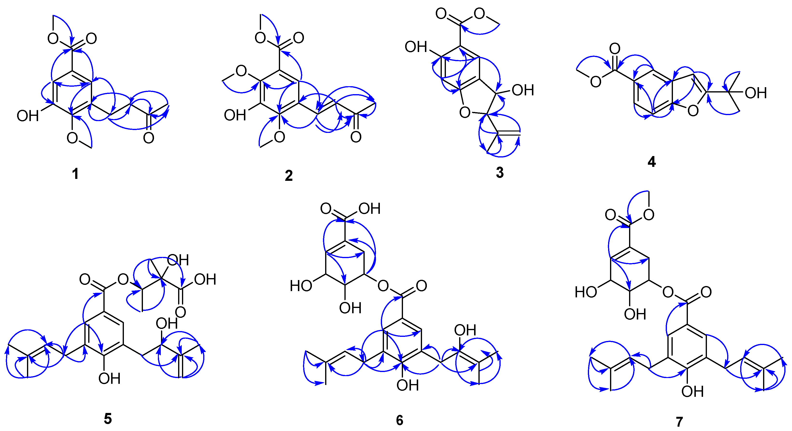Molecules 30 02132 g002 Molecules 30 02132 g002