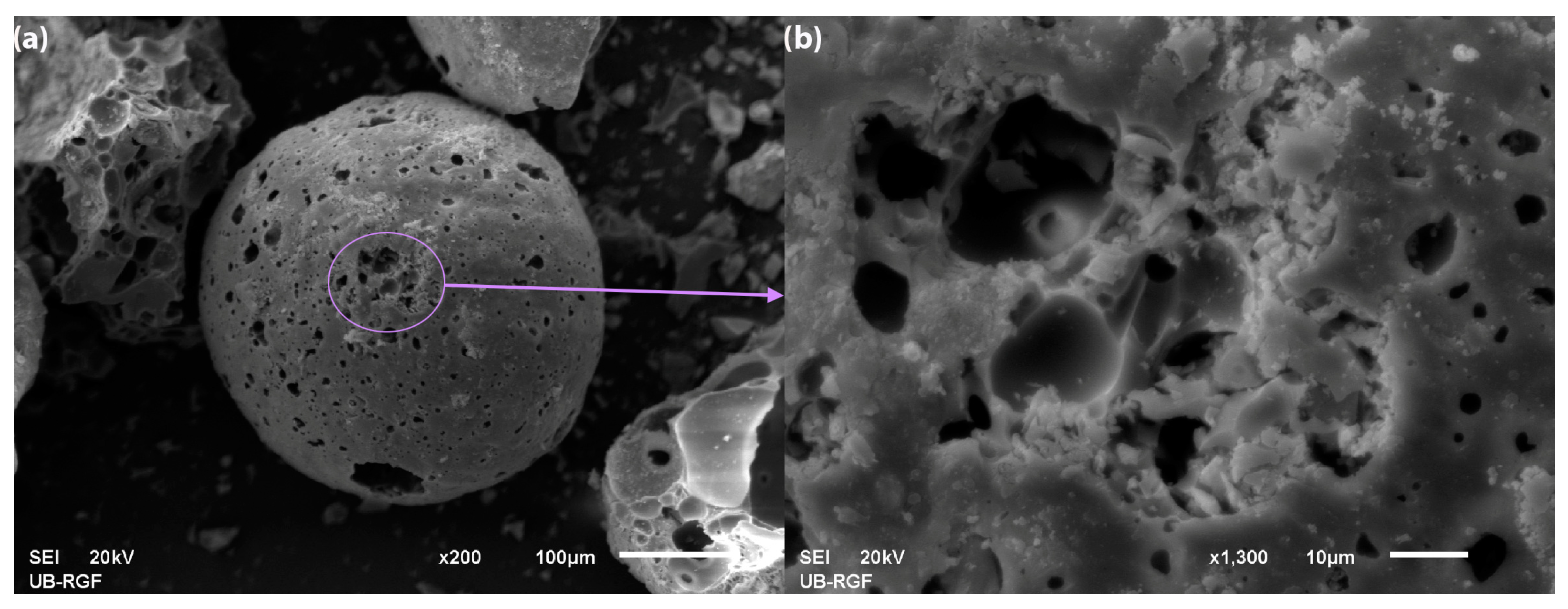 Molecules 30 02138 g002